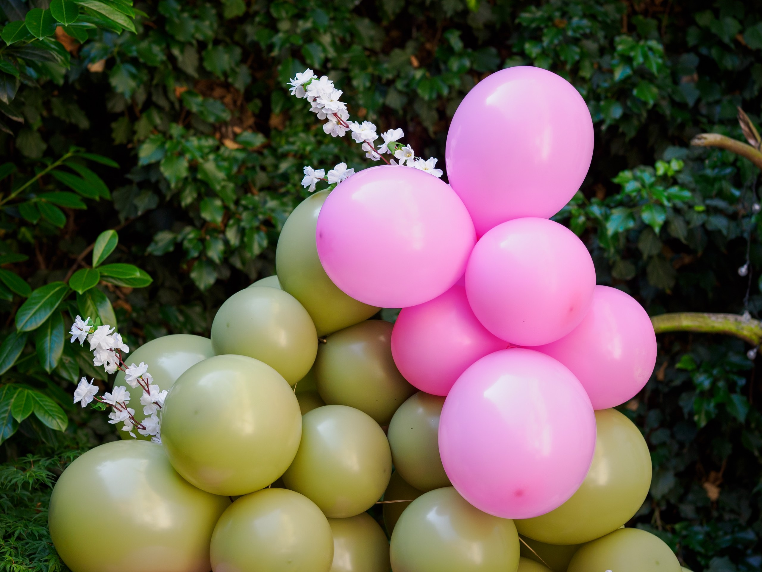 Events. Dmitry Tretiakov | Prague Photographer