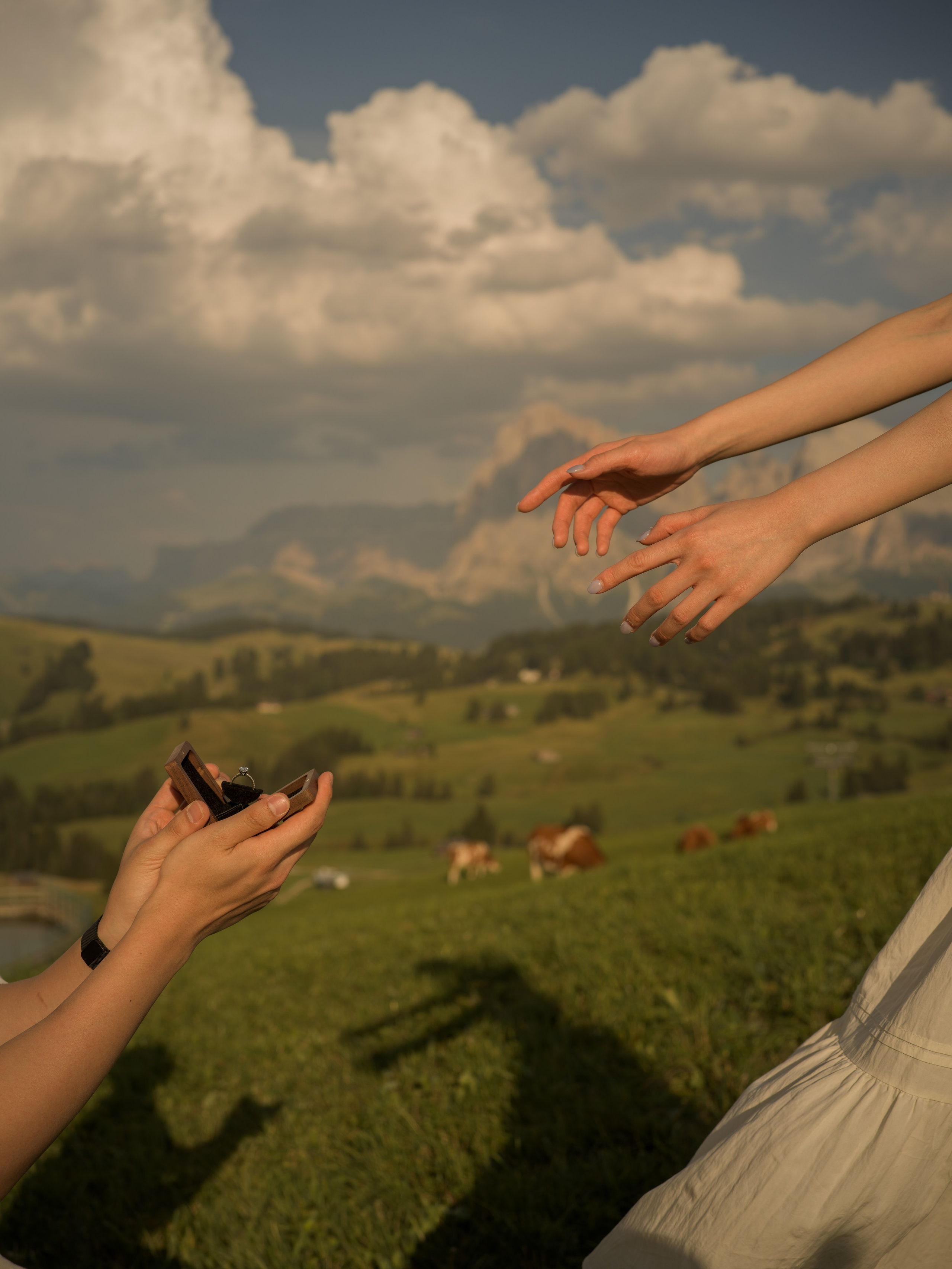 Proposal, Alpe di Siusi, the Dolomites
