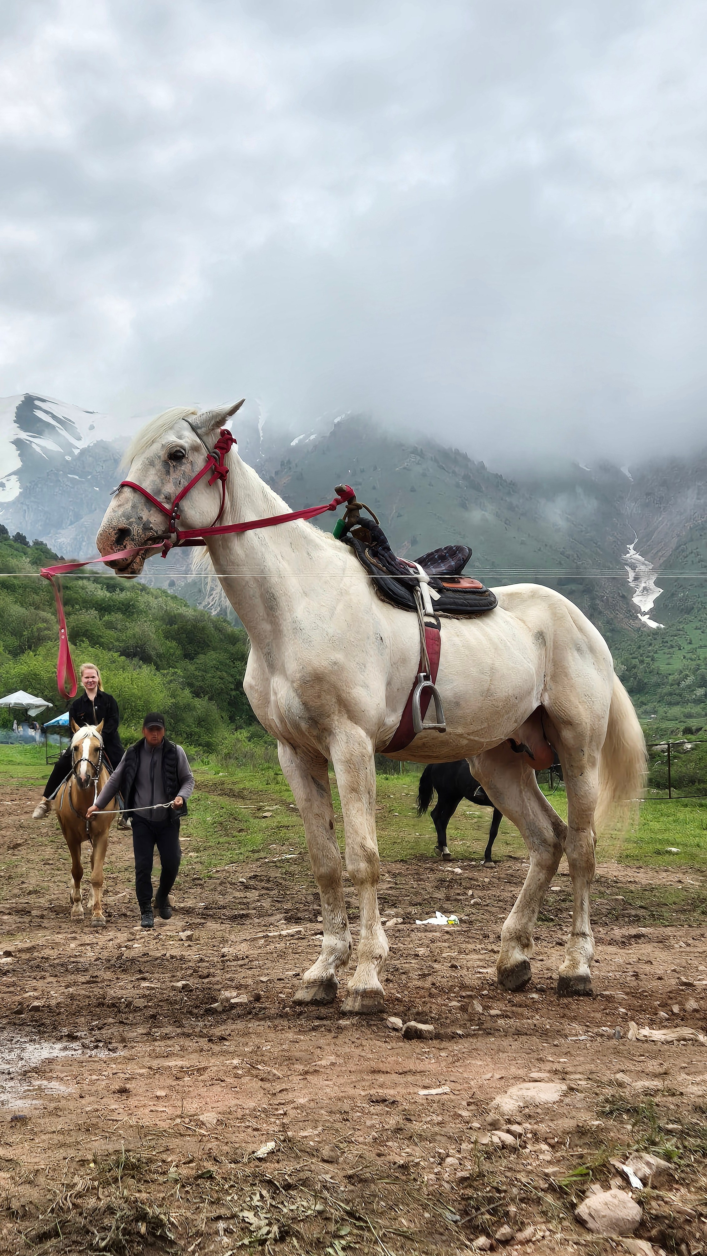 Uzbekistan 2024. Photographer Marina, city of Nuremberg