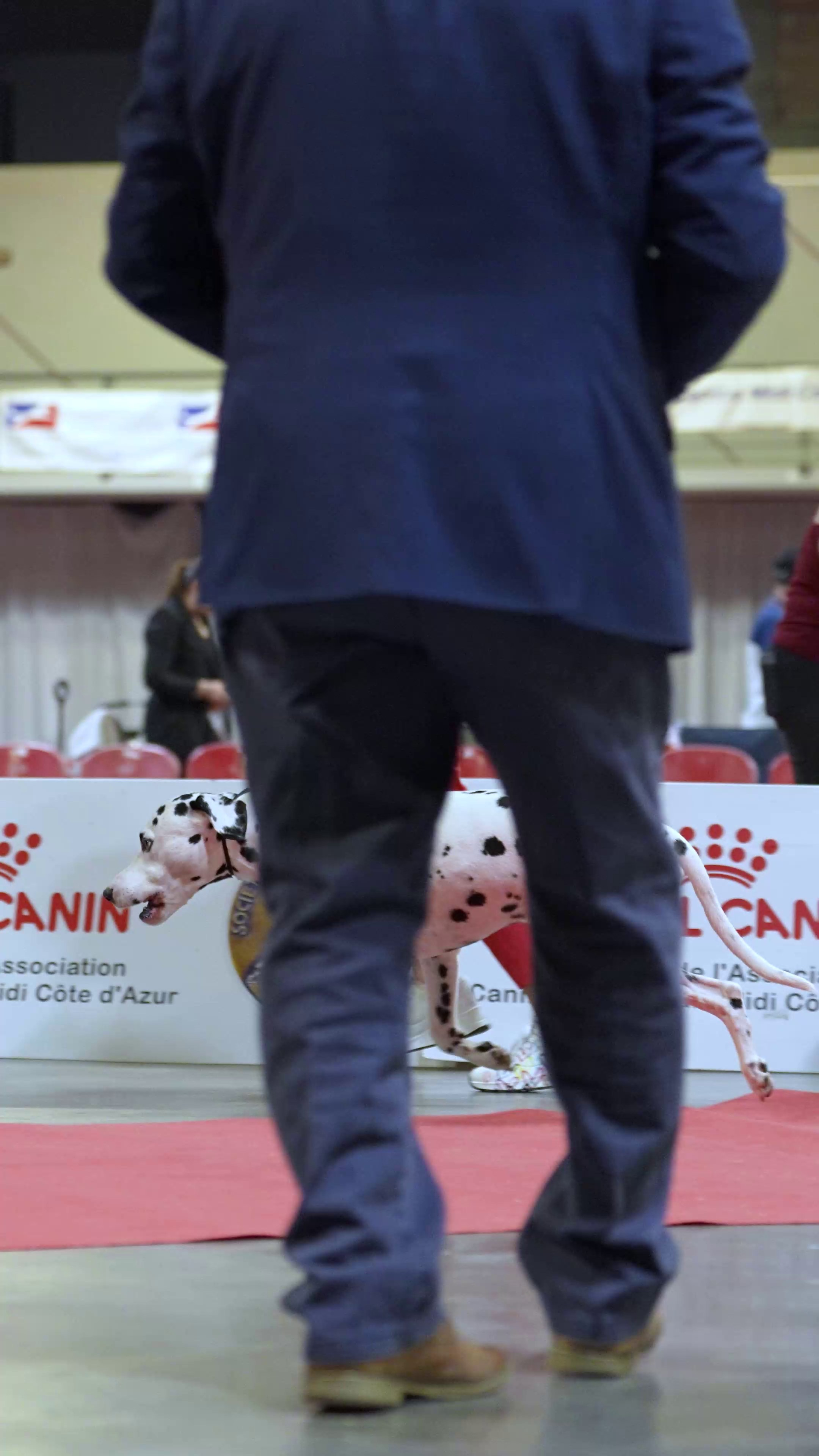 Expo canine 🇫🇷 Martigues 18-19/04/2026