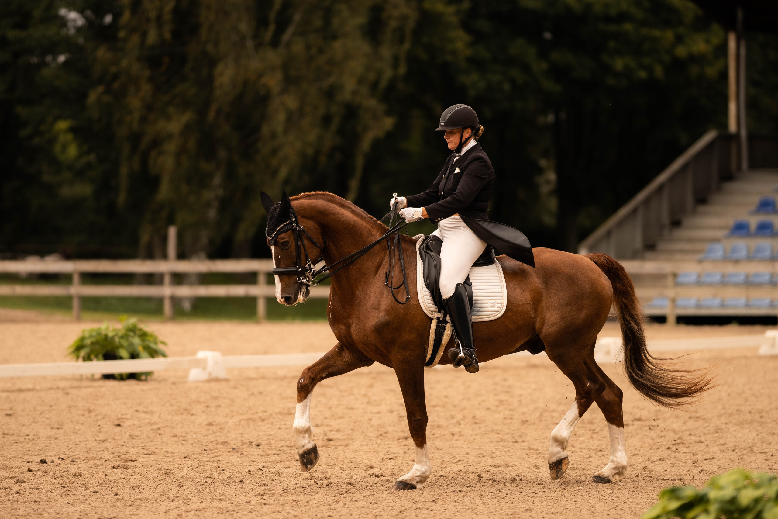 Dressage competitions. Sports and portrait photographer in Riga