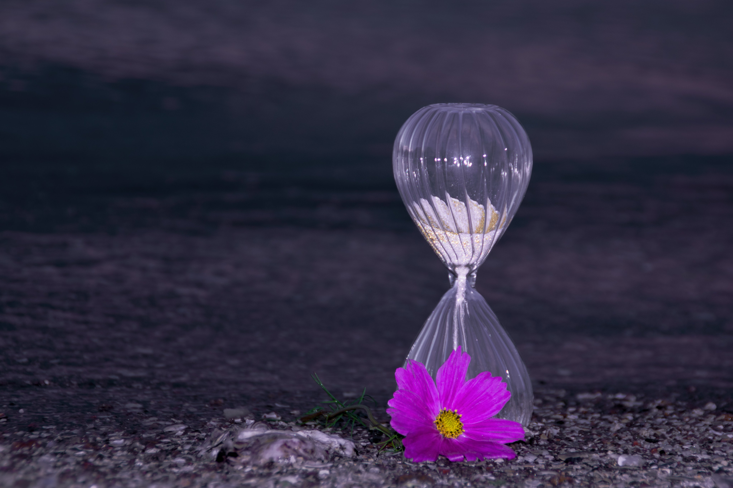 Portfolio. Photographer in Sotenäs municipality. Fotograf i Sotenäs kommun