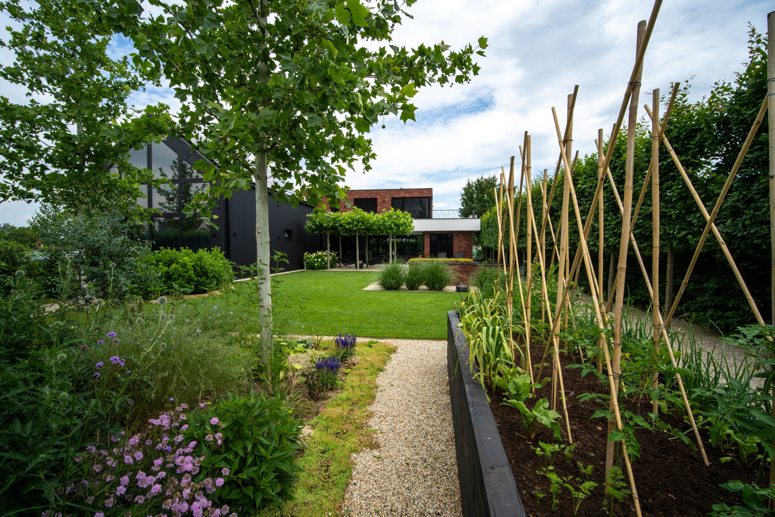 BEŽECKÁ 11. Photographer and videographer in Norway and Slovakia Andrea Zemko