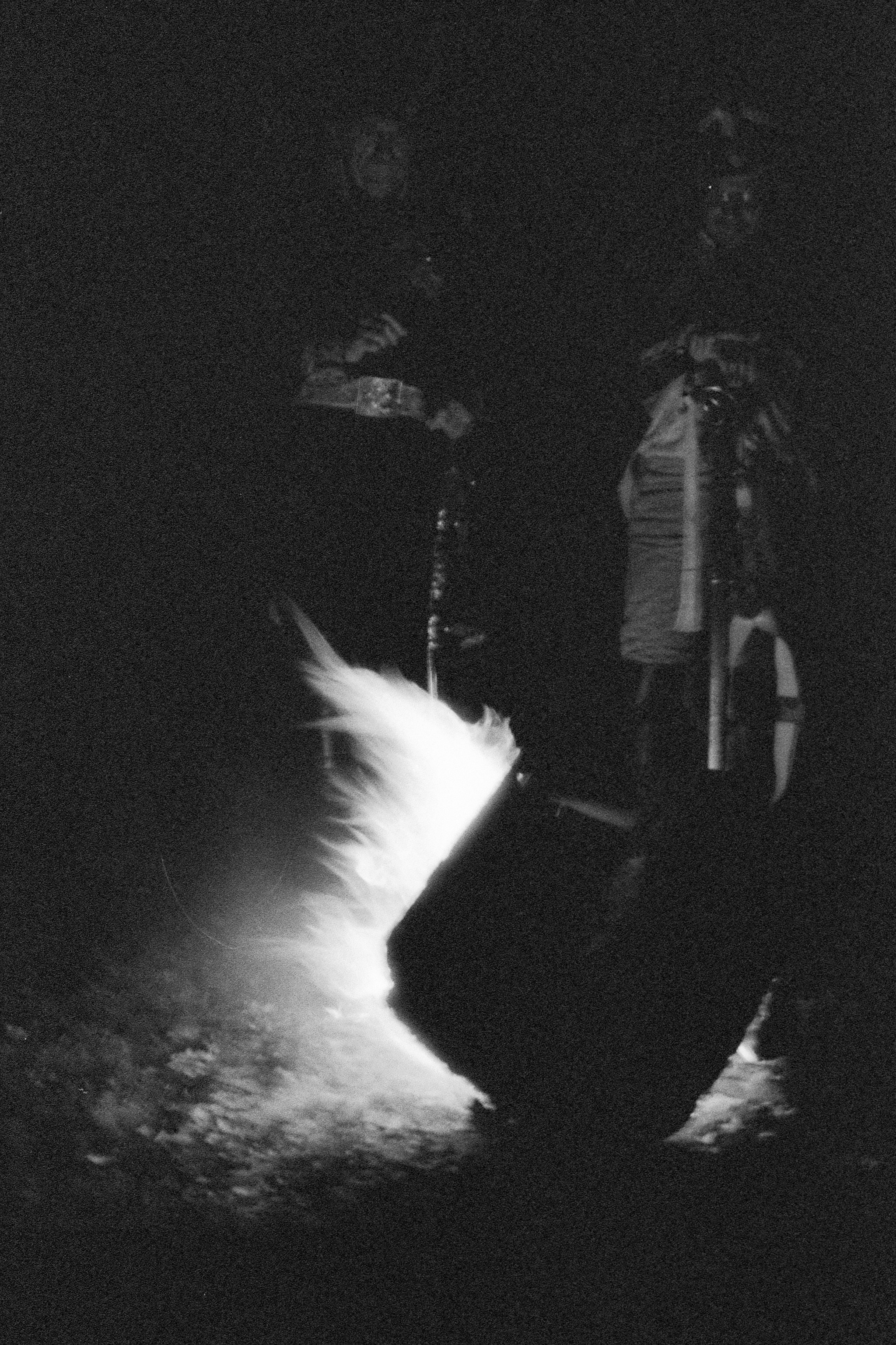 Jean- Luc. History of Napoleon. Anastasia Shapoval violoniste et photographe. Paris — Bourges