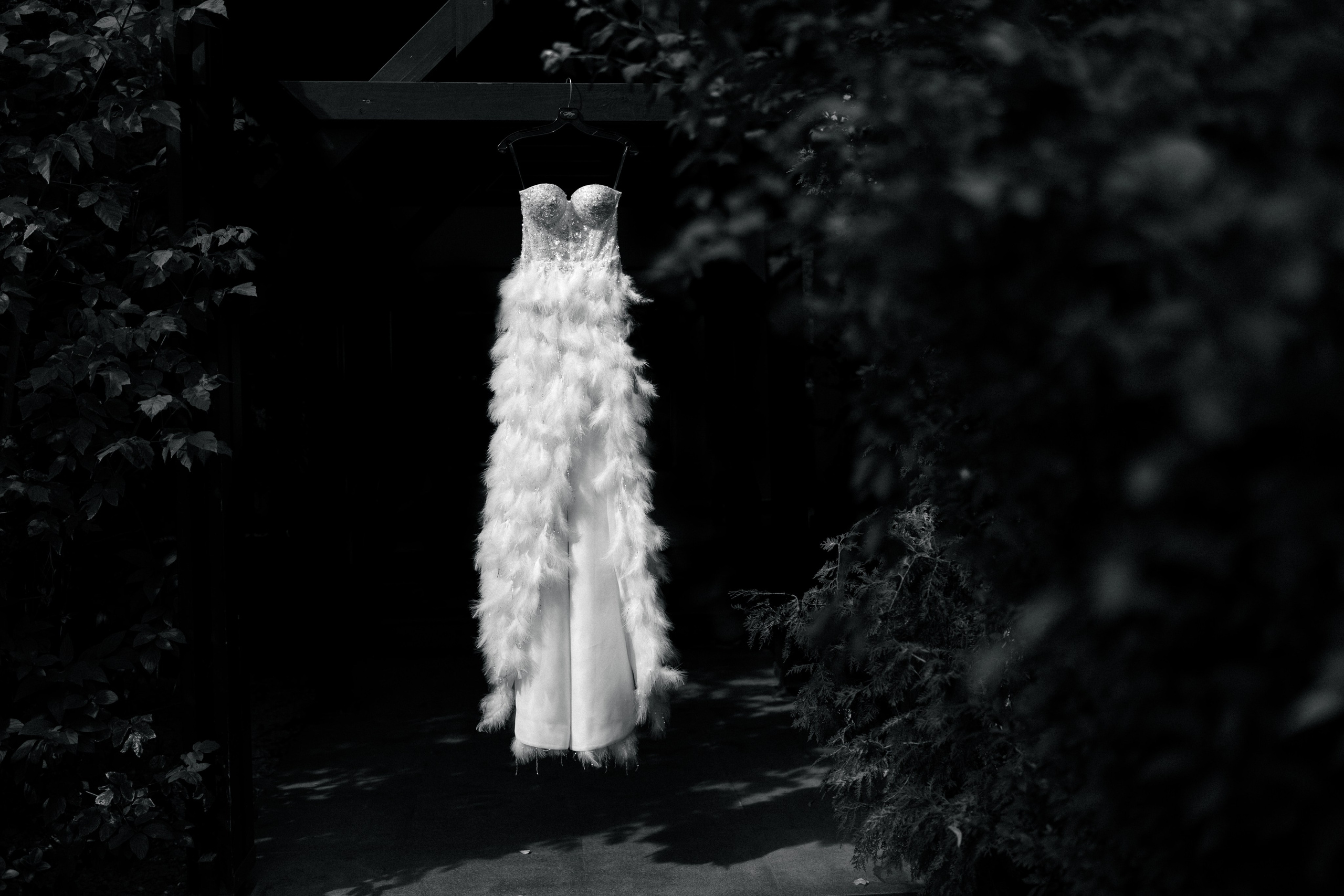 Katalina & Alex. Fotograf de nuntă Alex Pasarelu