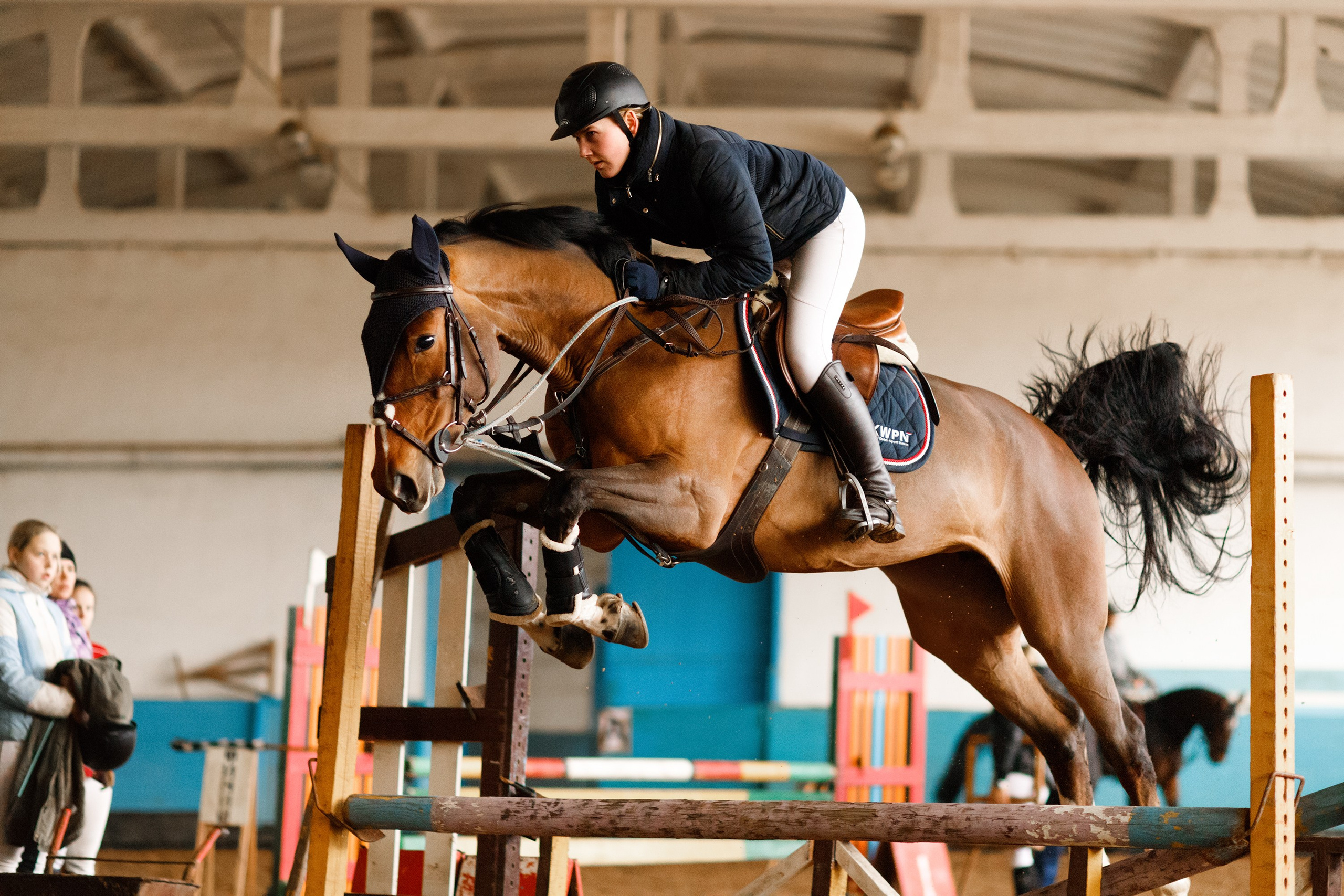 Winter show jumping in «Progress». Kaja | fotograf we Wrocławiu | ludzie i psy