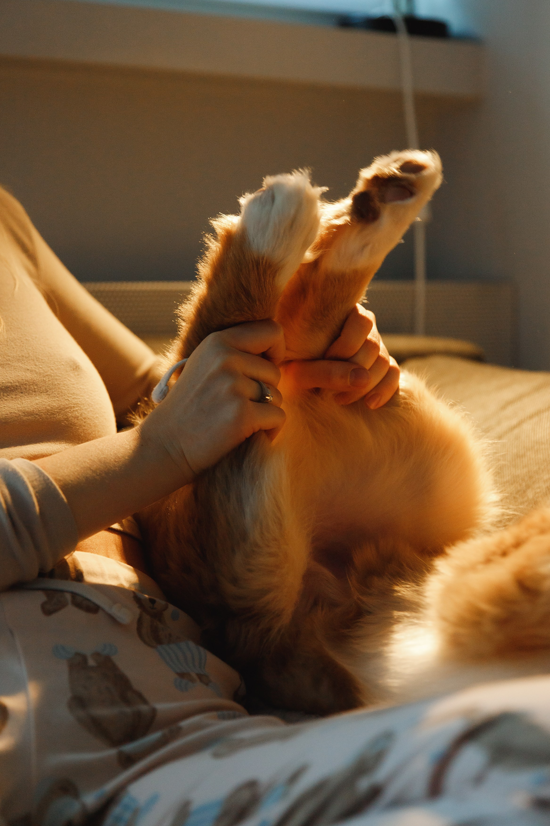 Fotografia psów Wrocław. Kaja | fotograf we Wrocławiu | ludzie i psy