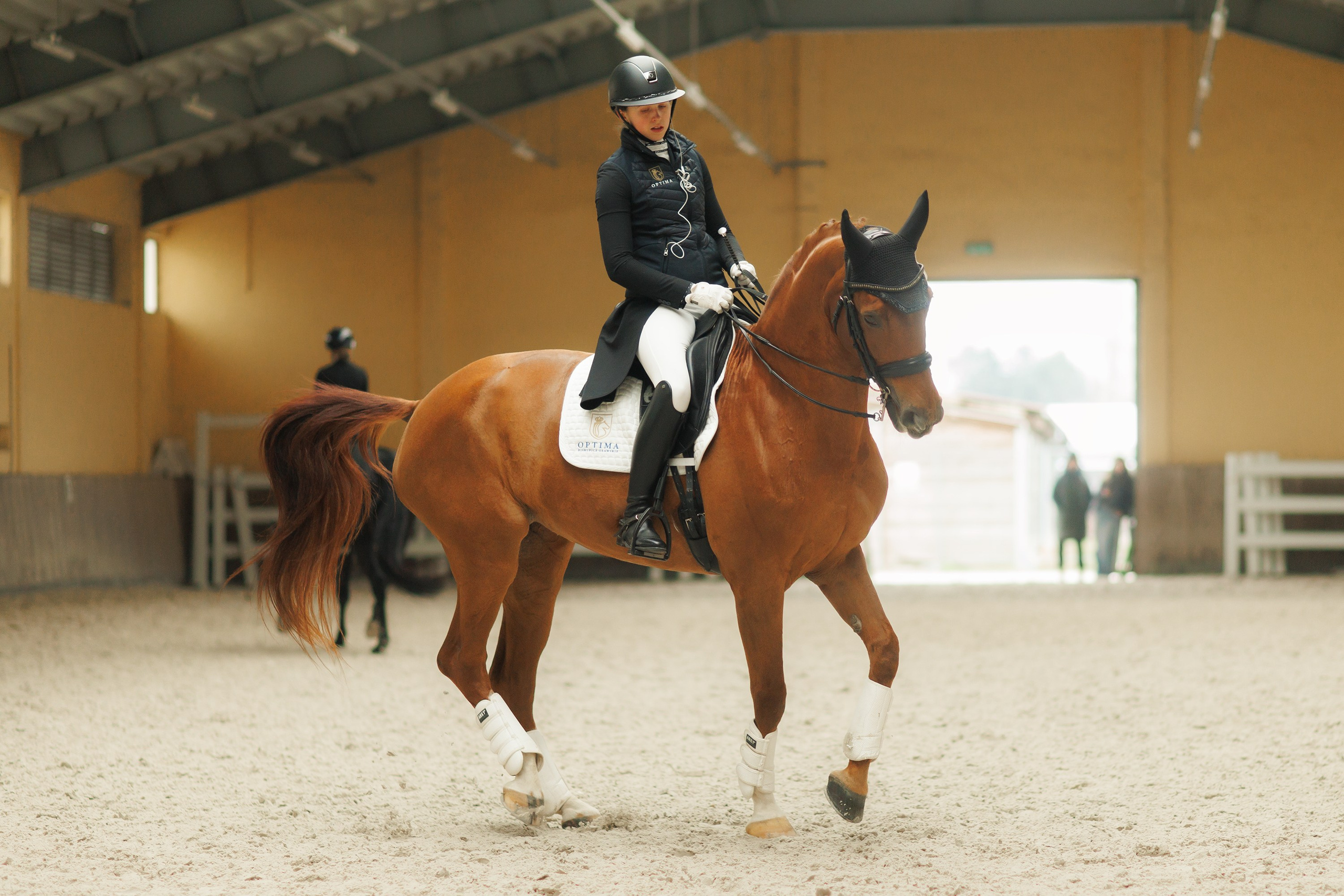 Partynice dressage \ feb'25. Kaja | fotograf we Wrocławiu | ludzie i psy