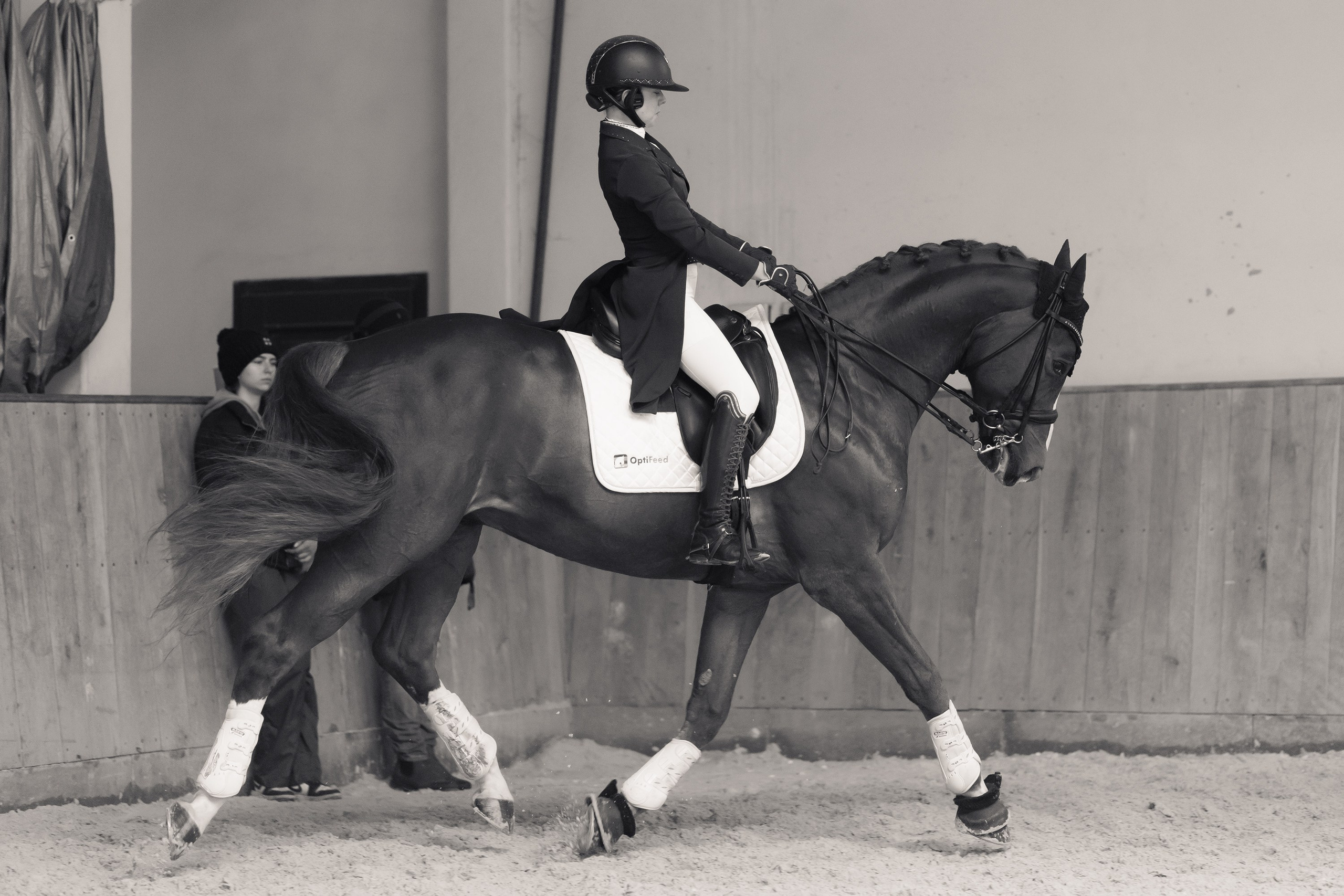 Partynice dressage \ feb'25. Kaja | fotograf we Wrocławiu | ludzie i psy