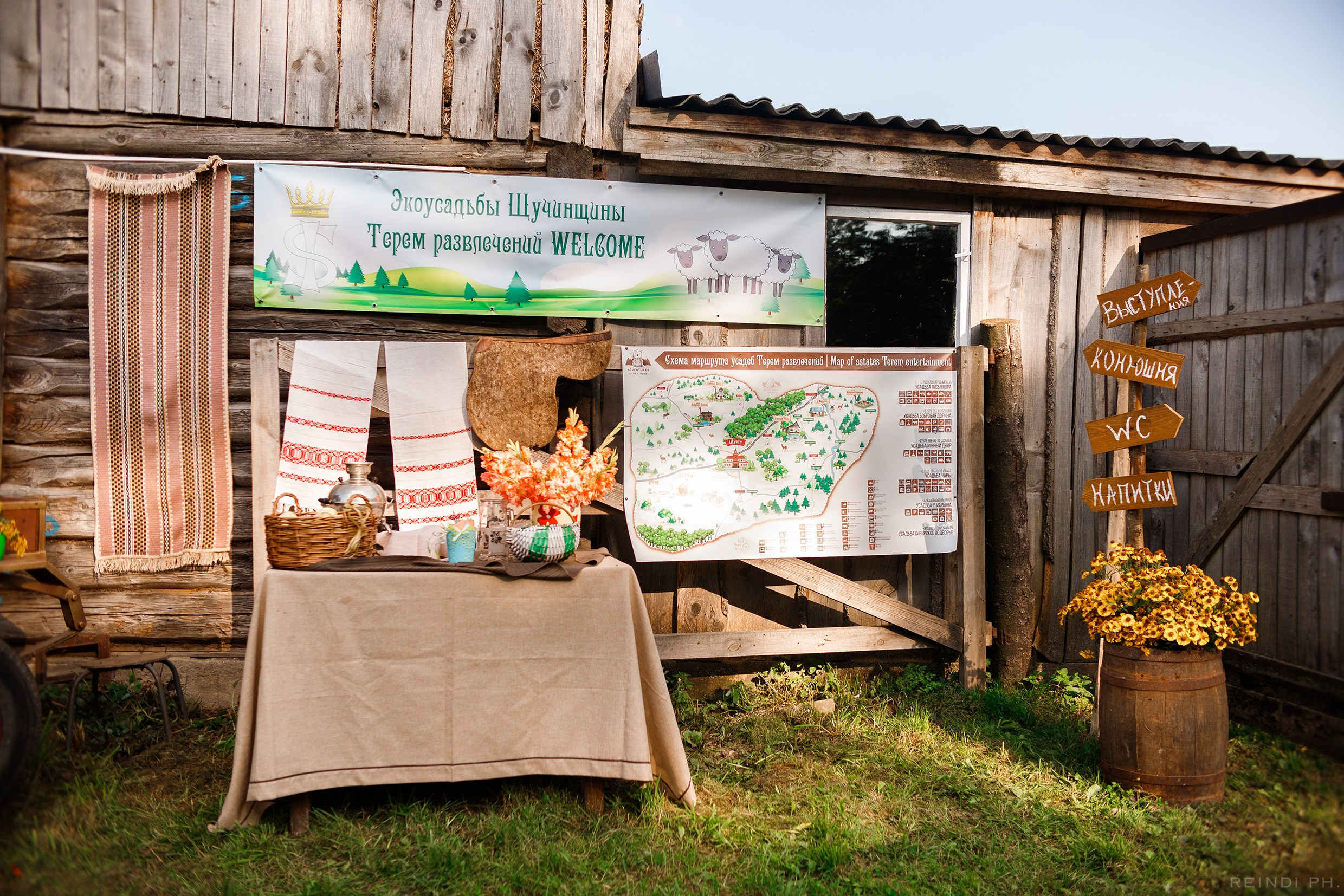 Horse show in the village. Kaja | fotograf we Wrocławiu | ludzie i psy