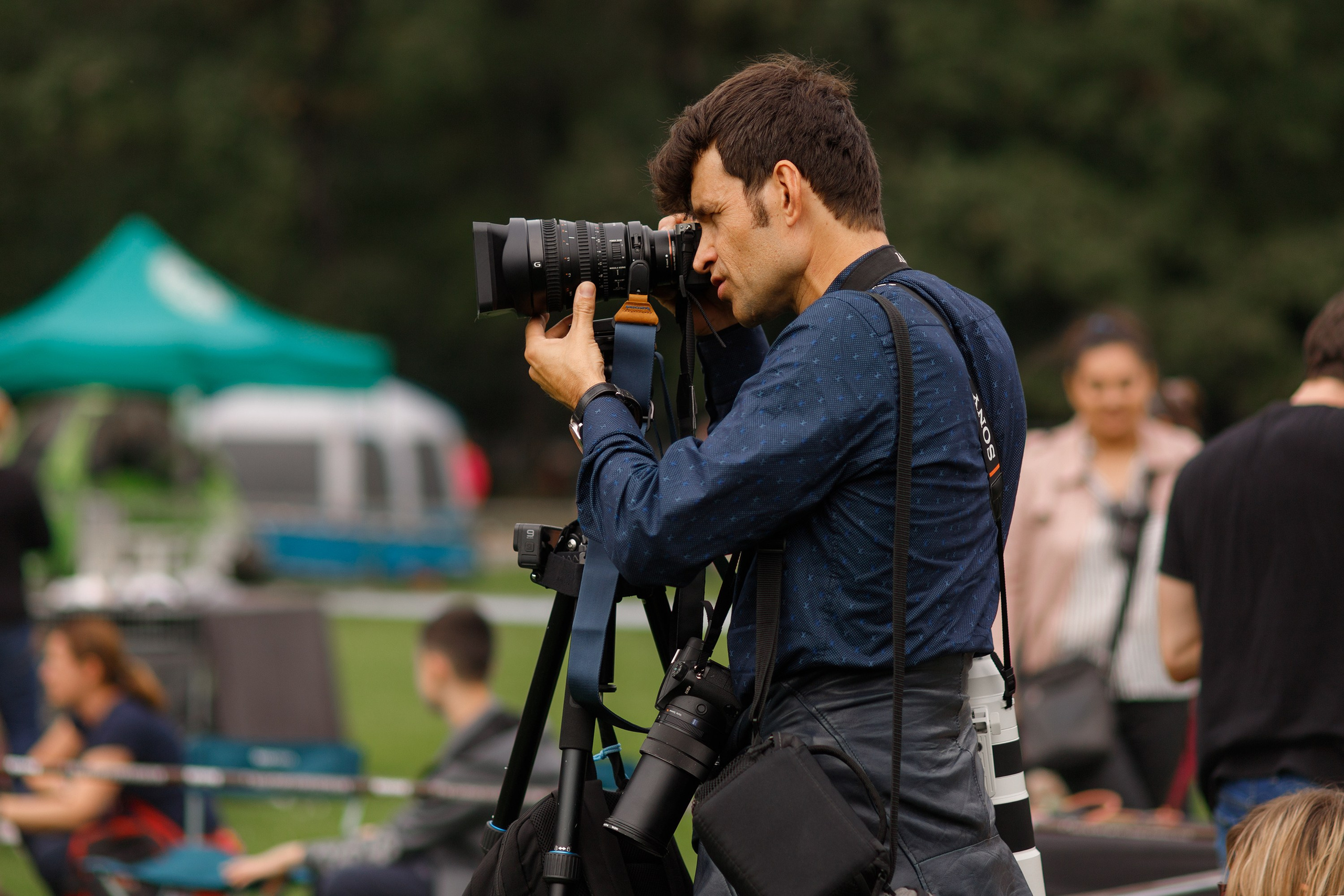 Dog shows | the best ones. Kaja | fotograf psów we Wrocławiu