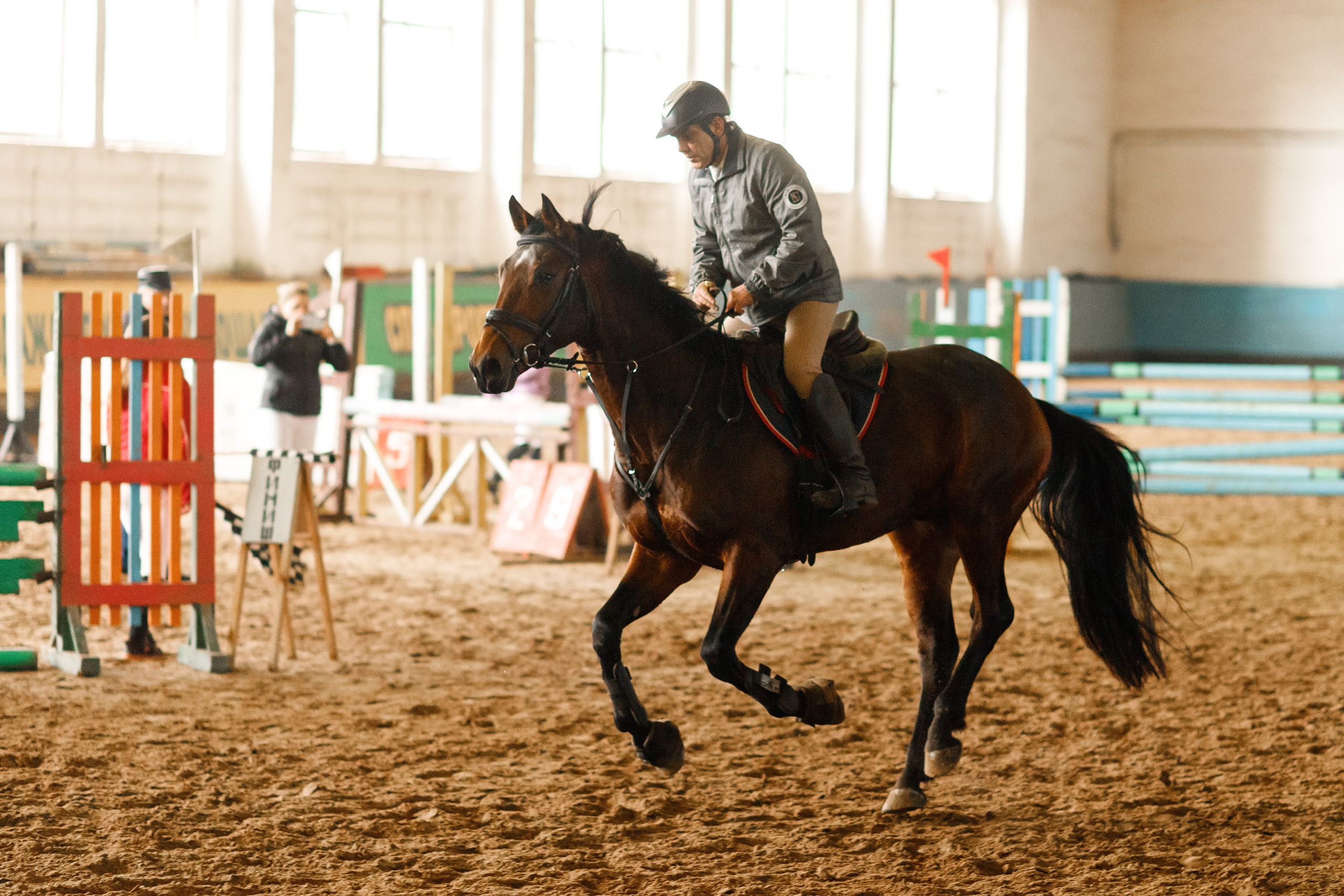 Winter show jumping in «Progress». Kaja | fotograf we Wrocławiu | ludzie i psy