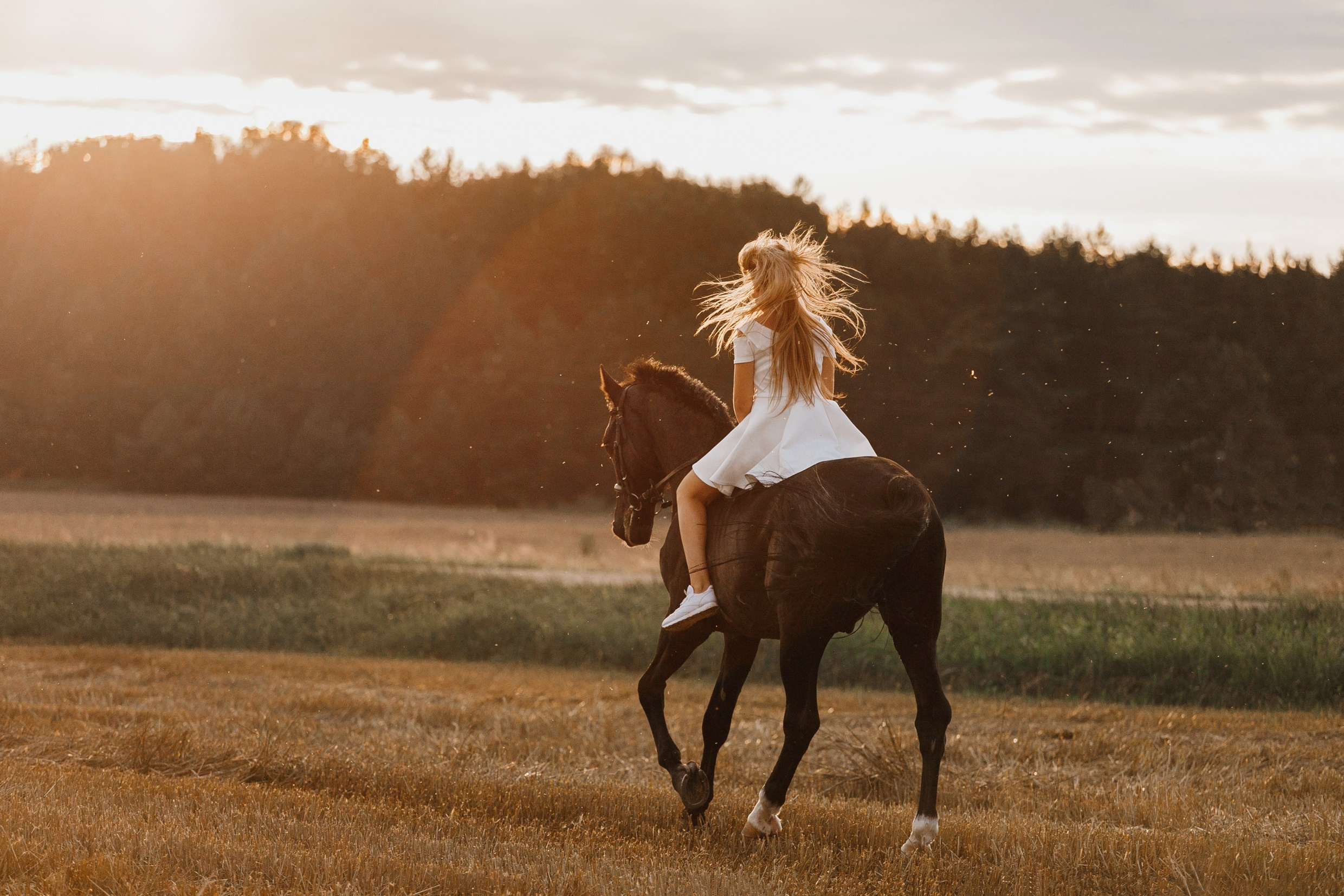 One sunset. Kaja | fotograf psów we Wrocławiu