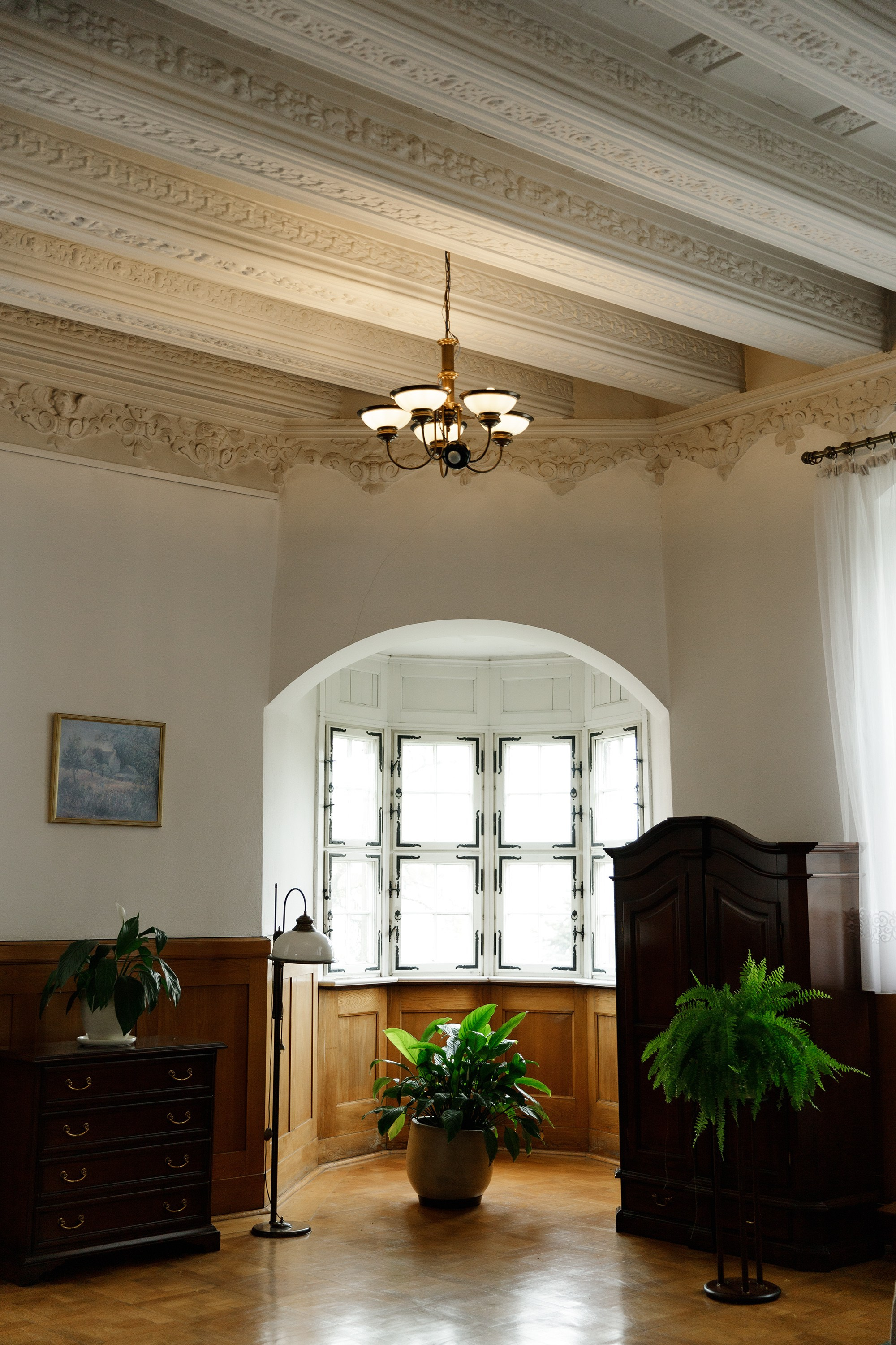 Oleśnica castle. Kaja | fotograf psów we Wrocławiu