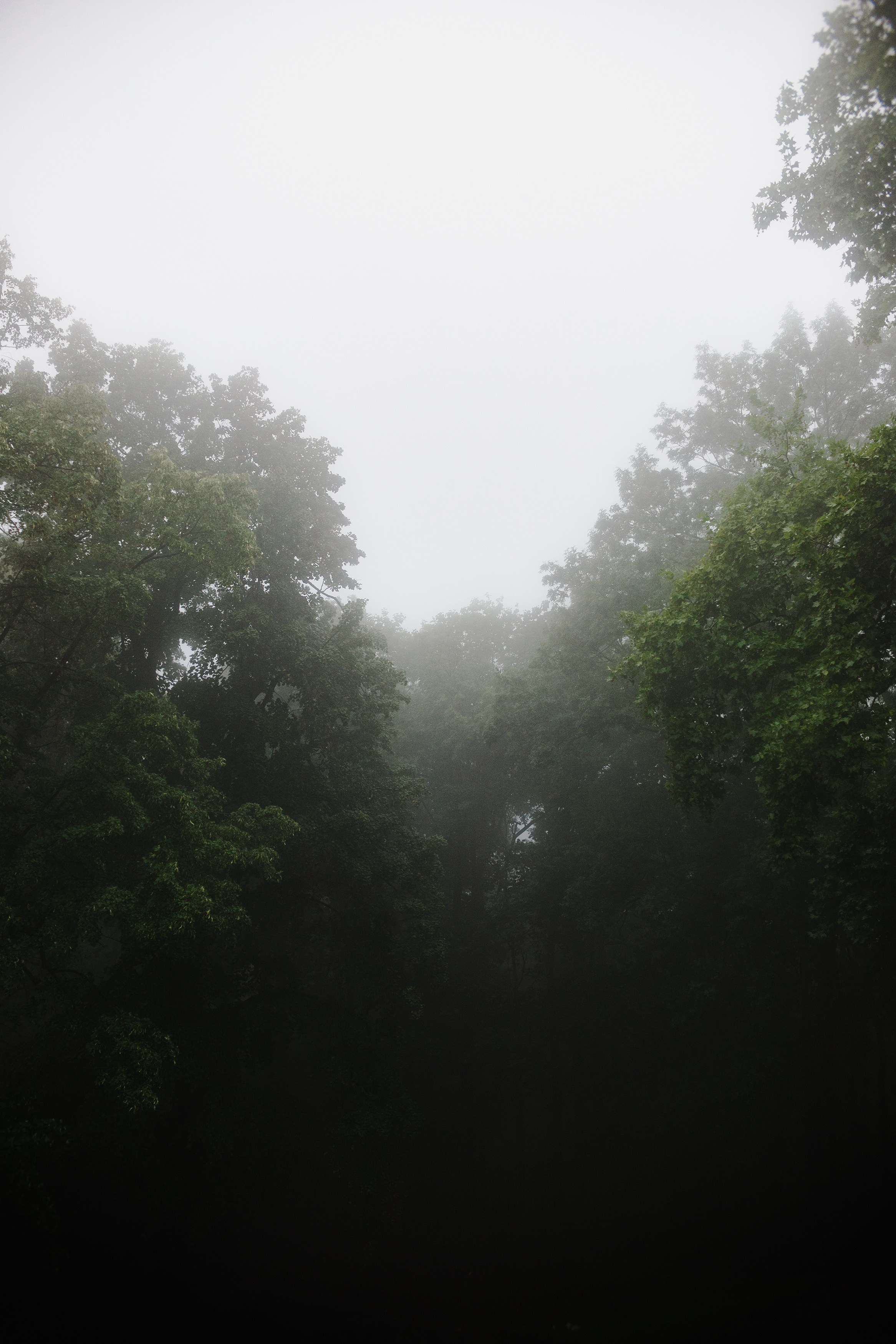 Zamek Grodziec. Kaja | fotograf psów we Wrocławiu