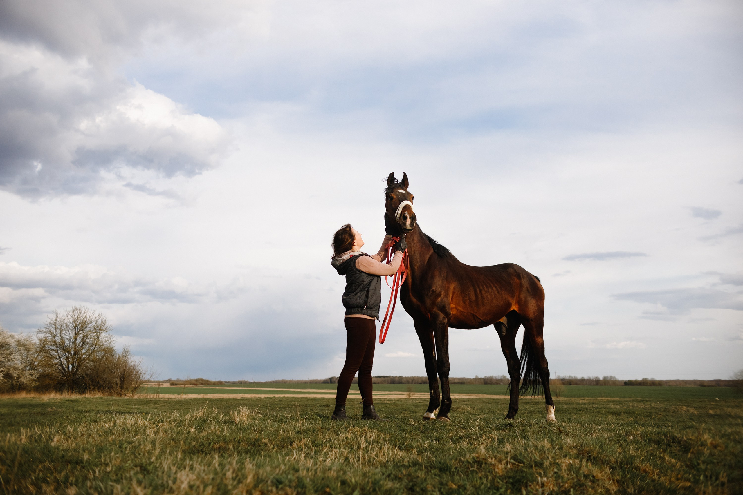 Vykup. Kaja | fotograf psów we Wrocławiu