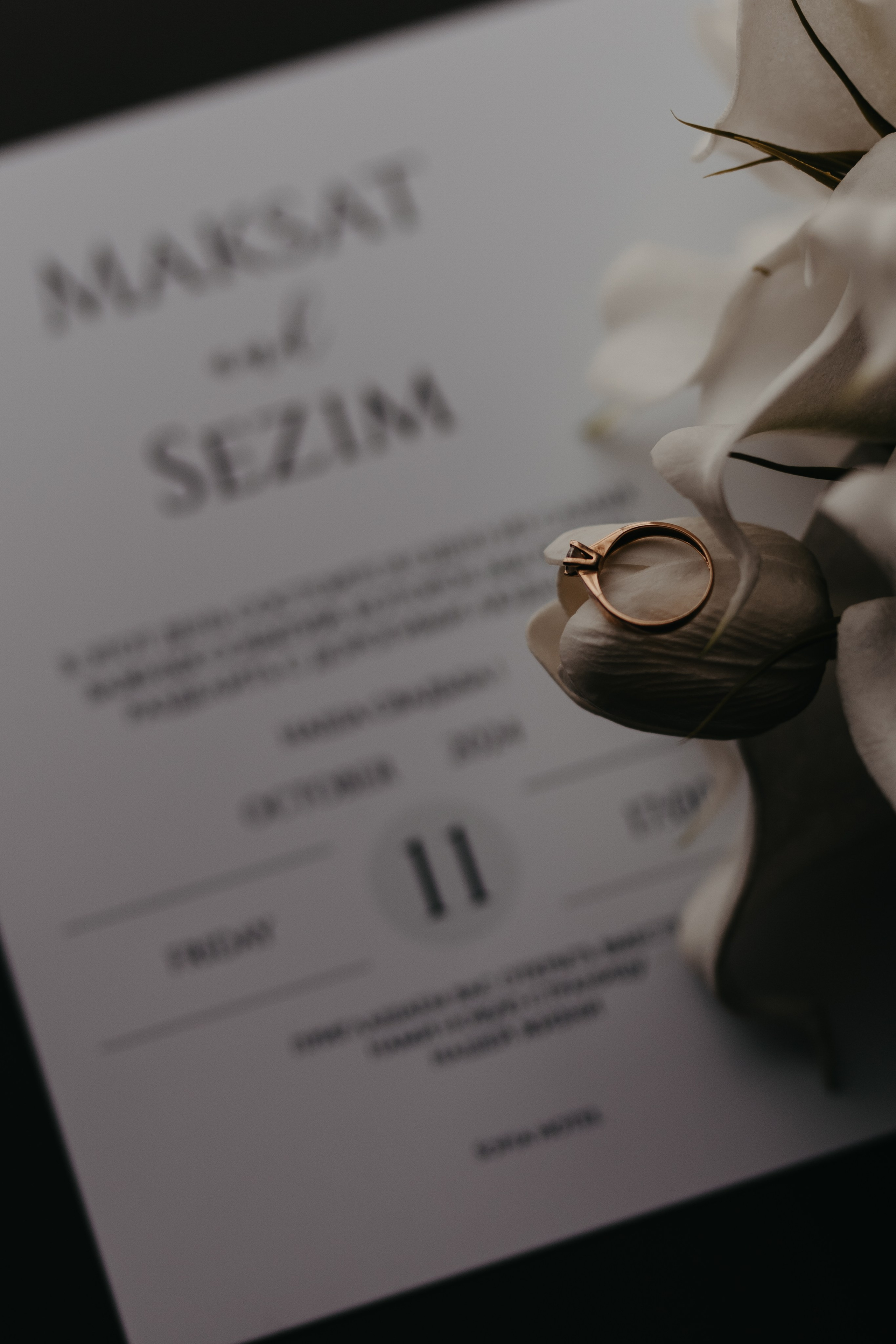 SOFIA. Mandarin.photo