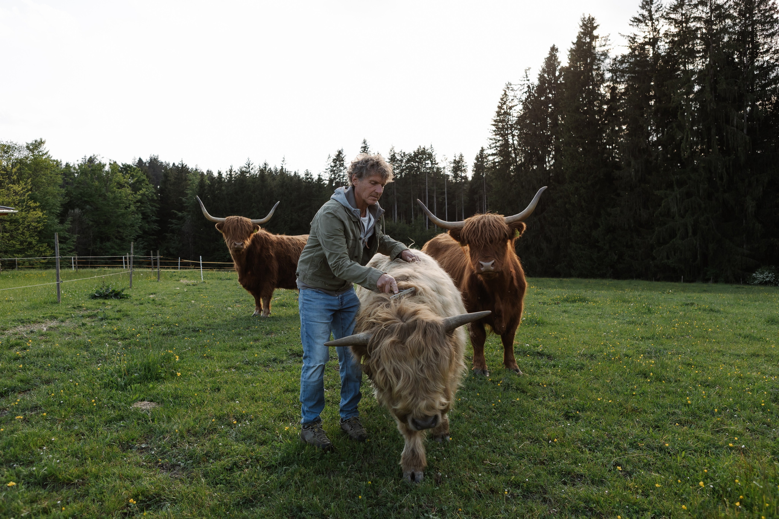 Reportage-Shooting. Fotografin Larysa Chepurko| Füssen| Garmisch-Partenkirchen| Weilheim| Schongau| Murnau| München | Hochzeitsfotograf Füssen | Larysa Photo