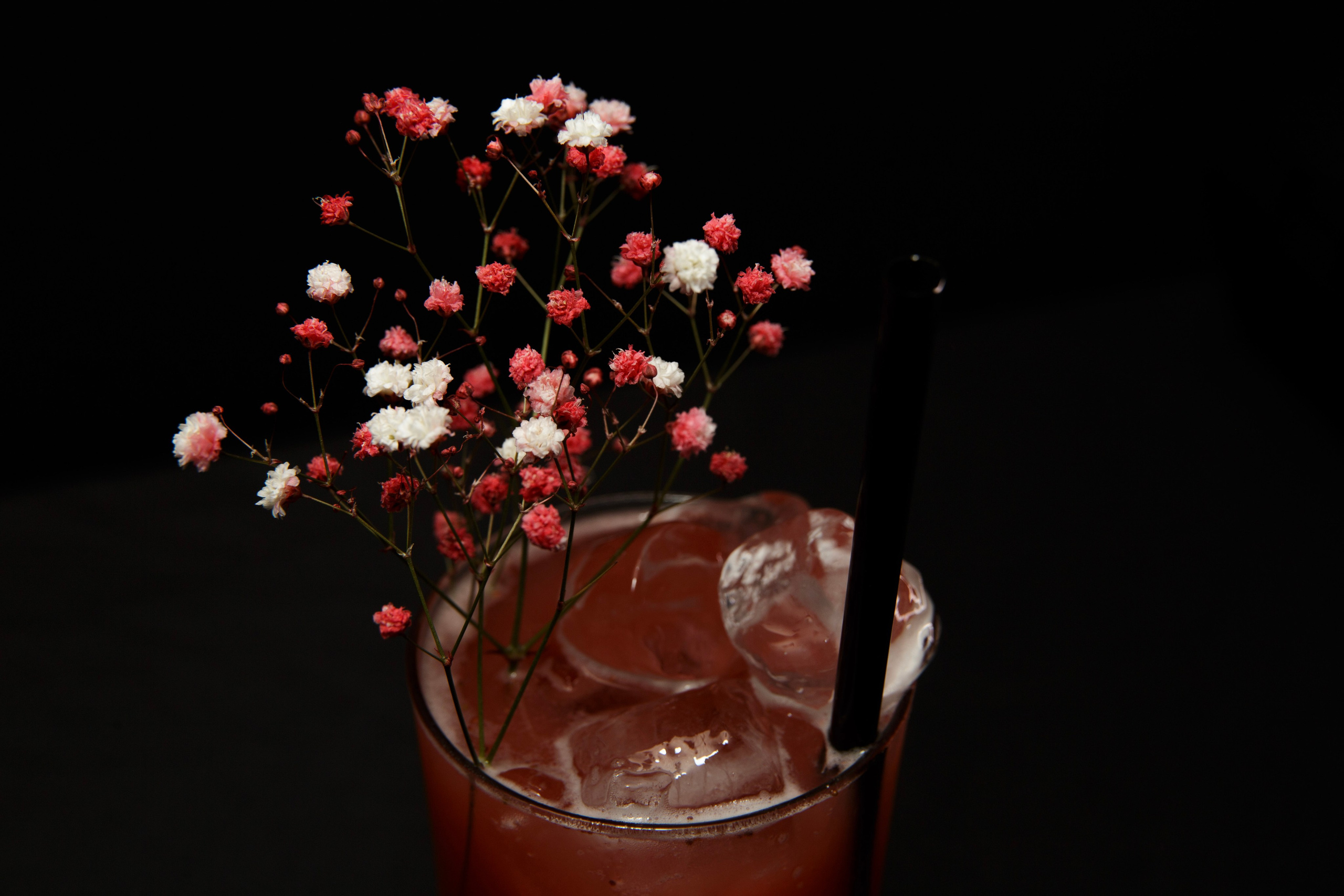 Контентная съемка для бара Focus. Портретный и репортажный фотограф в Израиле Рома Бирман