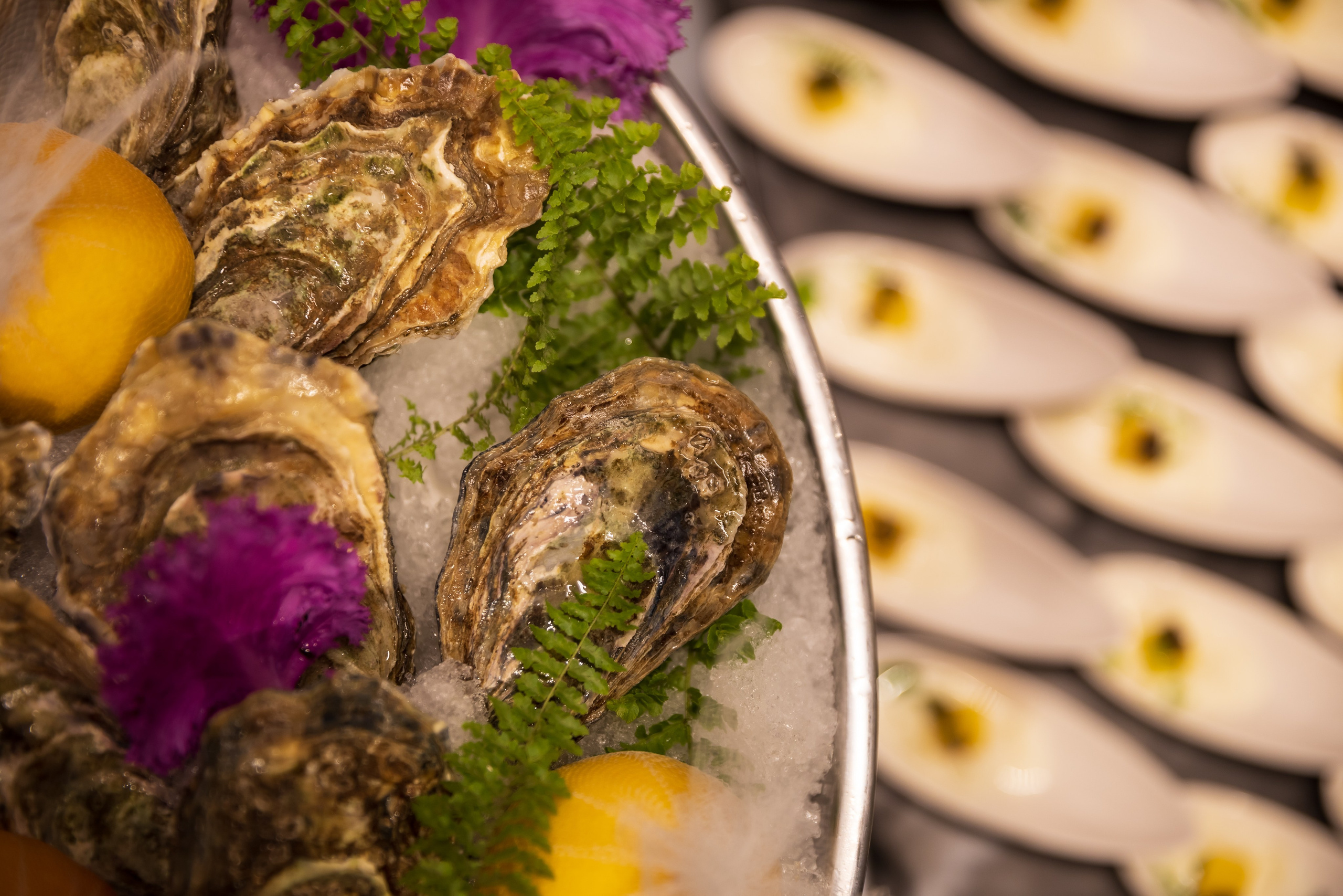 Porsche Studio. Открытие первого официального дилерского центра Porsche в Узбекистане. Профессиональная Фото-Видео Студия Геннадия Нестеренко | Ташкент и Весь Узбекистан