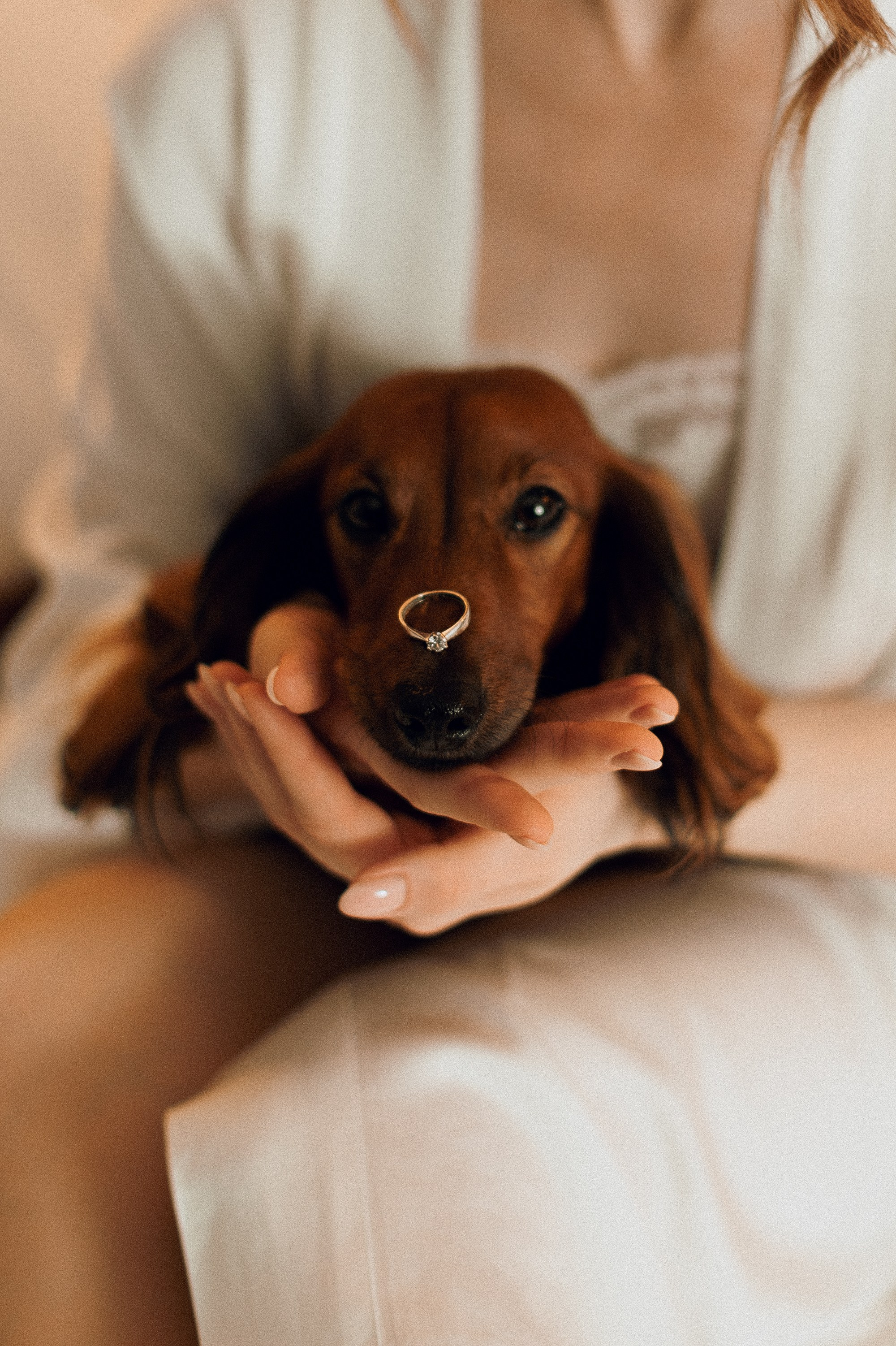 Kirill & Ira. Wedding photographer in Europe