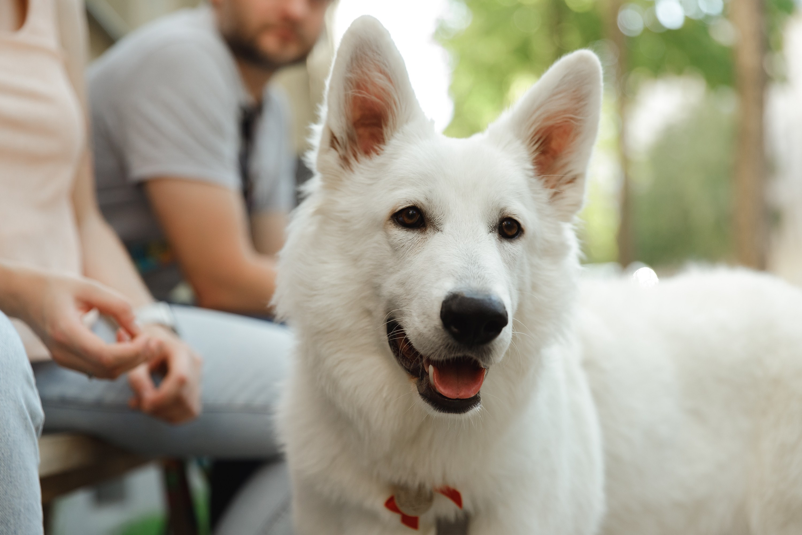 Astra in Leipzig. Kaja | fotograf we Wrocławiu | ludzie i psy