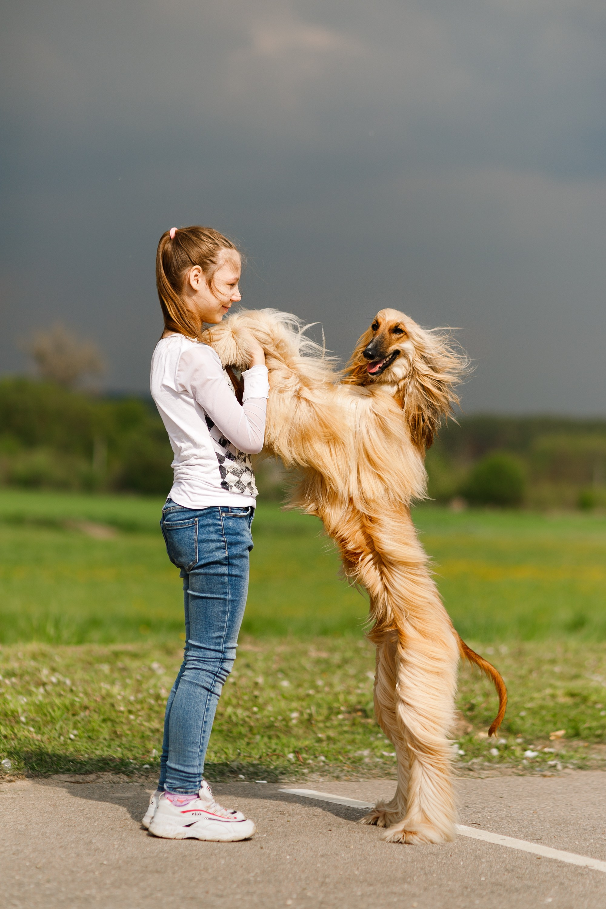 Dog shows | the best ones. Kaja | fotograf psów we Wrocławiu
