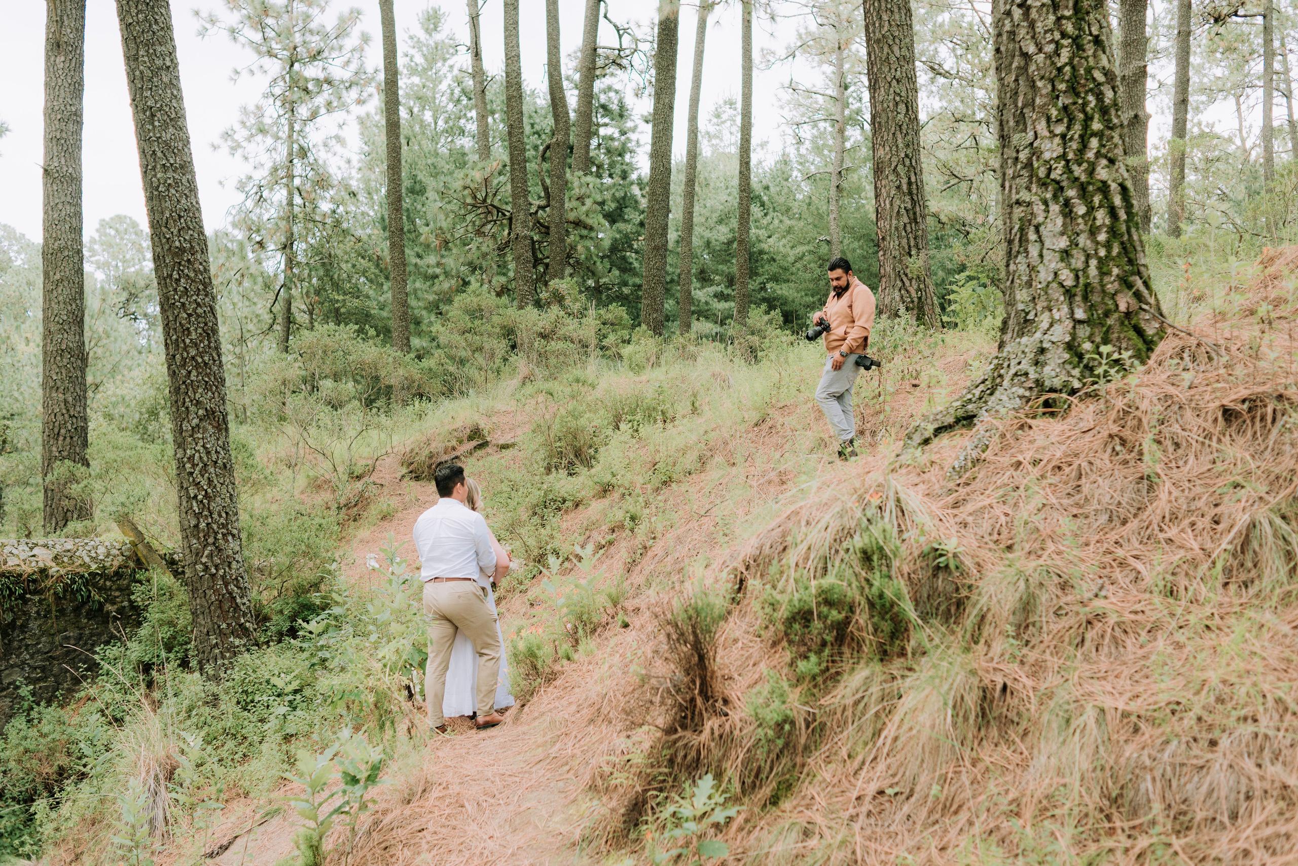 Fotografo Profesional