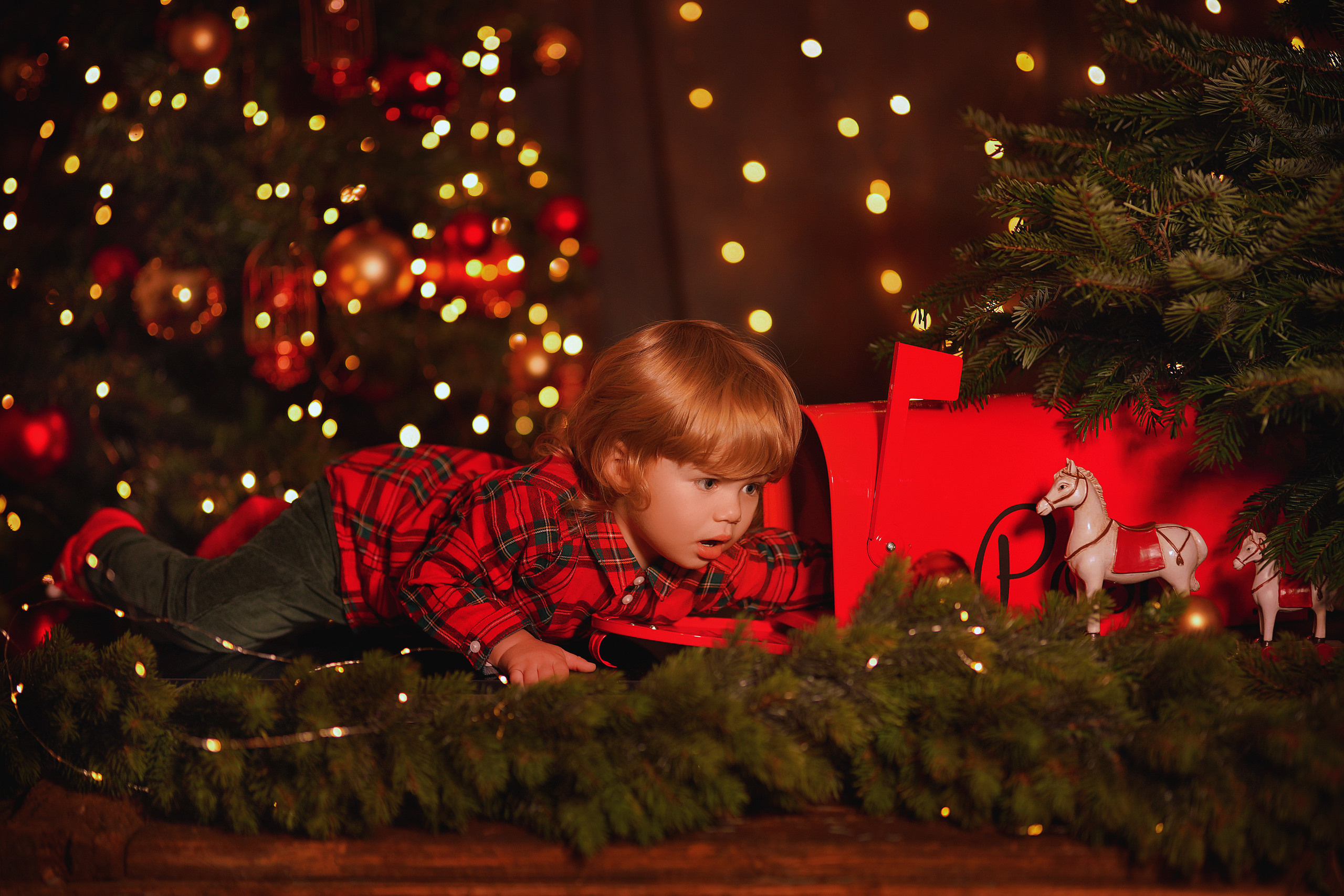 Christmas. Nadine Brecht