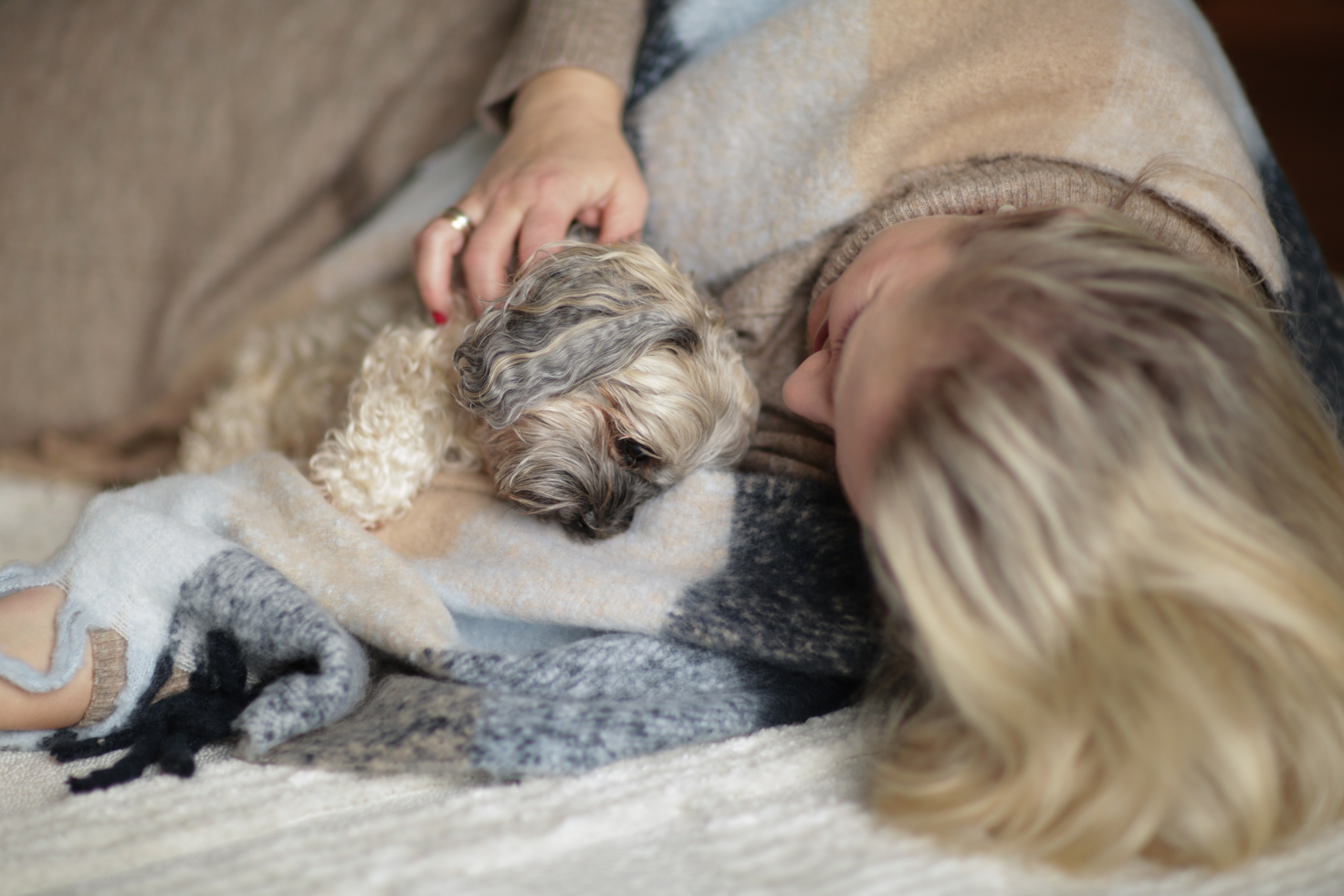 Haustiere. Neugeborenen, Familien, Geschwister Fotografin aus Delmenhorst