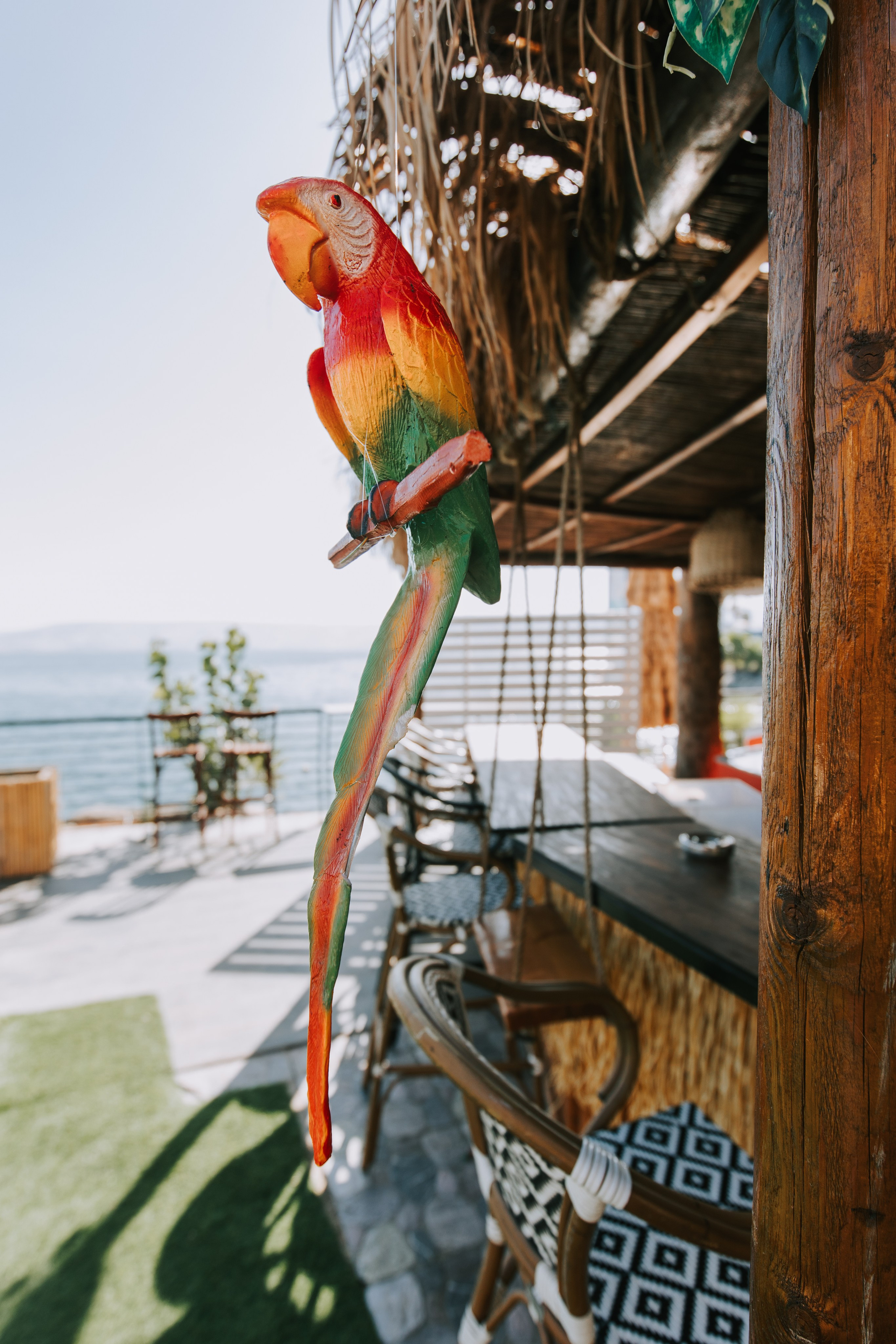 HSL- summer vibes. AMIR BUCHNIK PHOTOGRAPHER