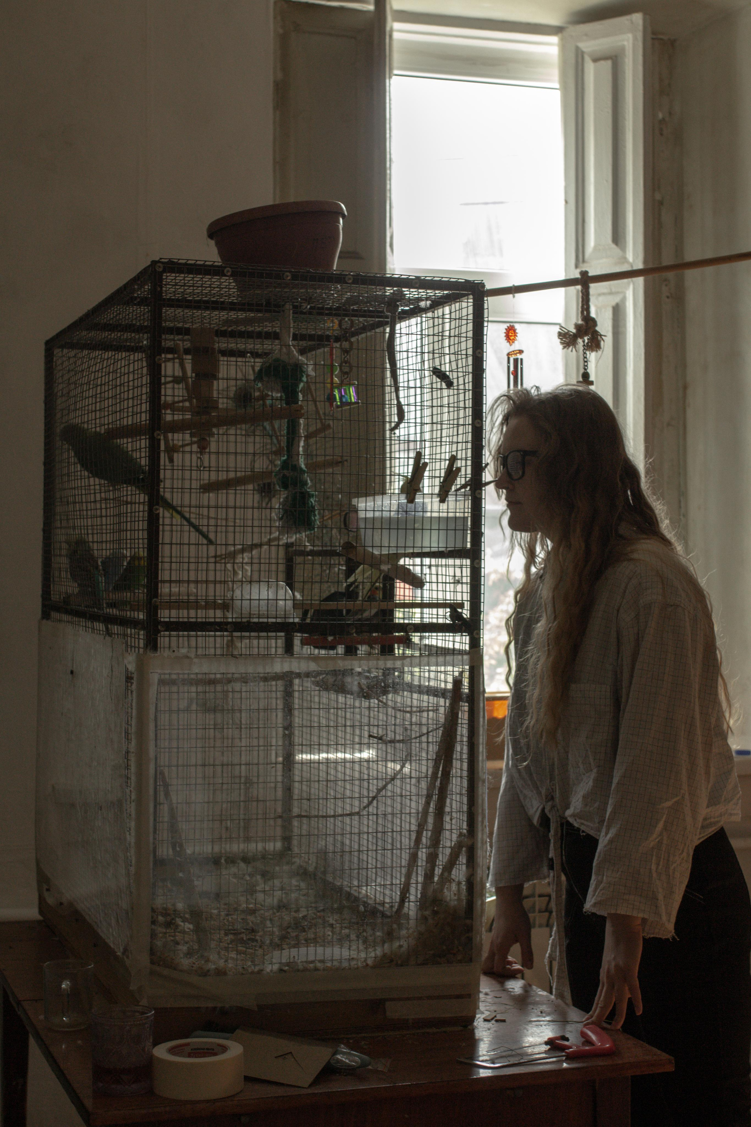 Катя и попугаи