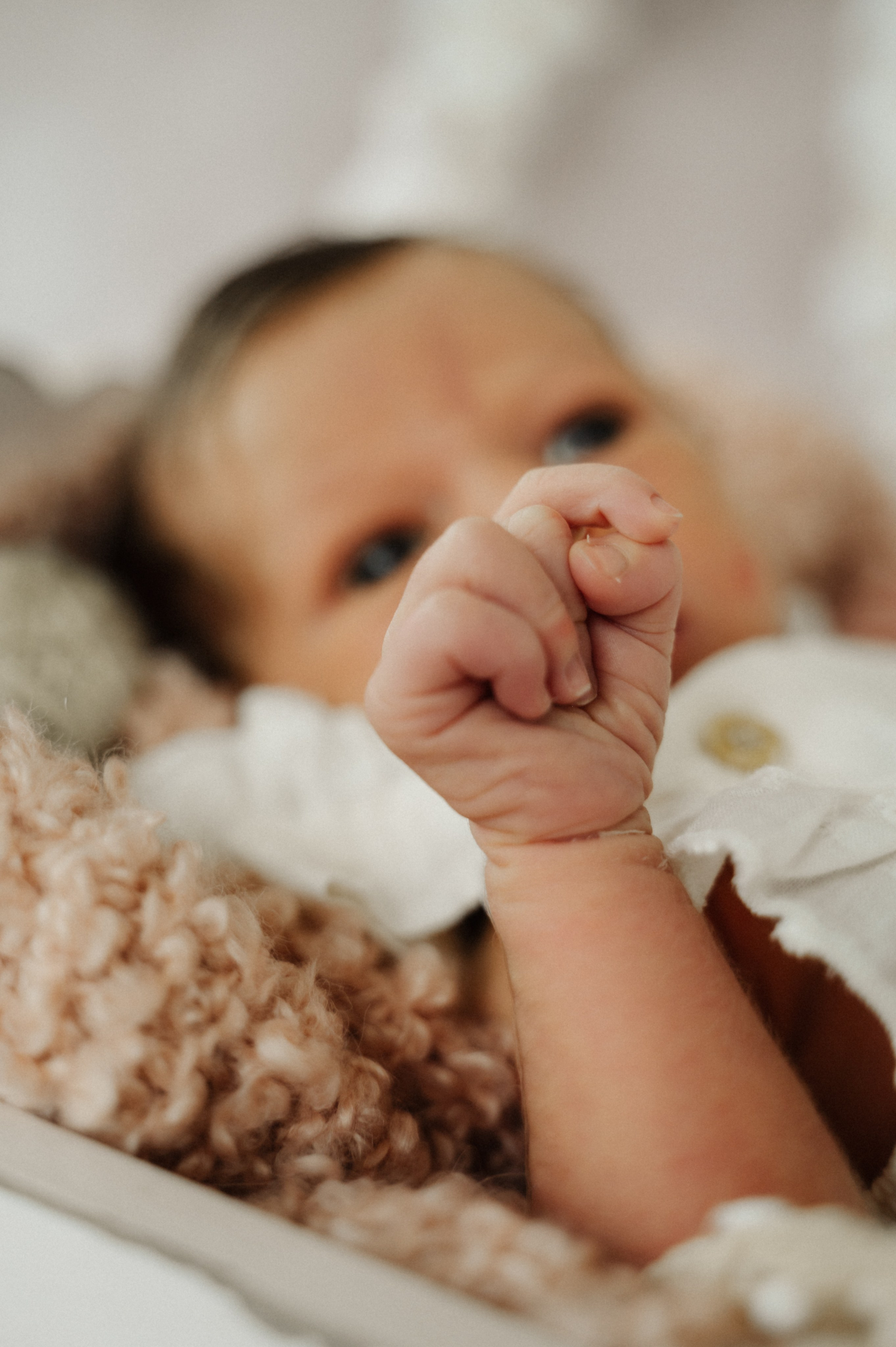 Newborn. Anastasia Kurbanov Photography