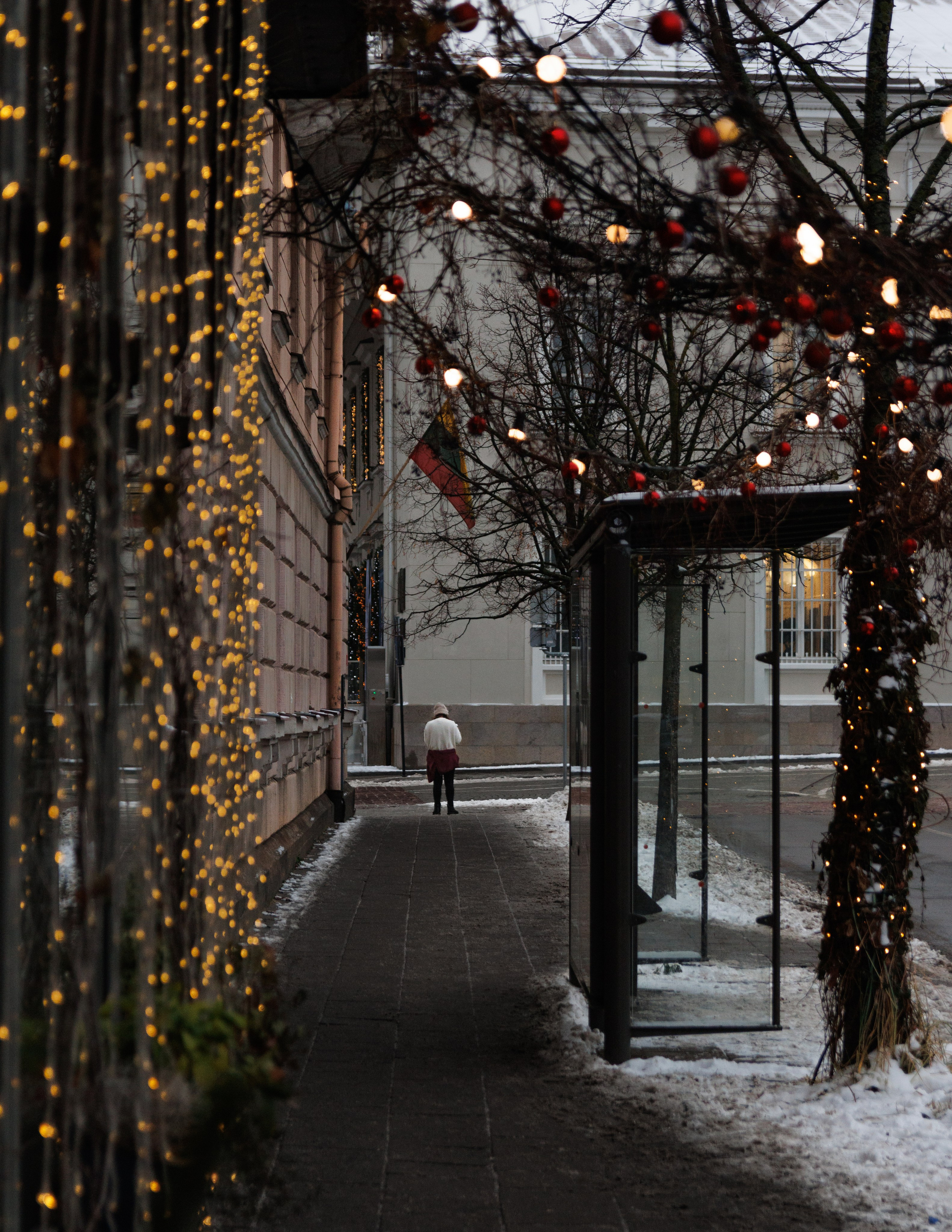Street. Portrait and Street photographer in Vilnius Edgar Shaipunas