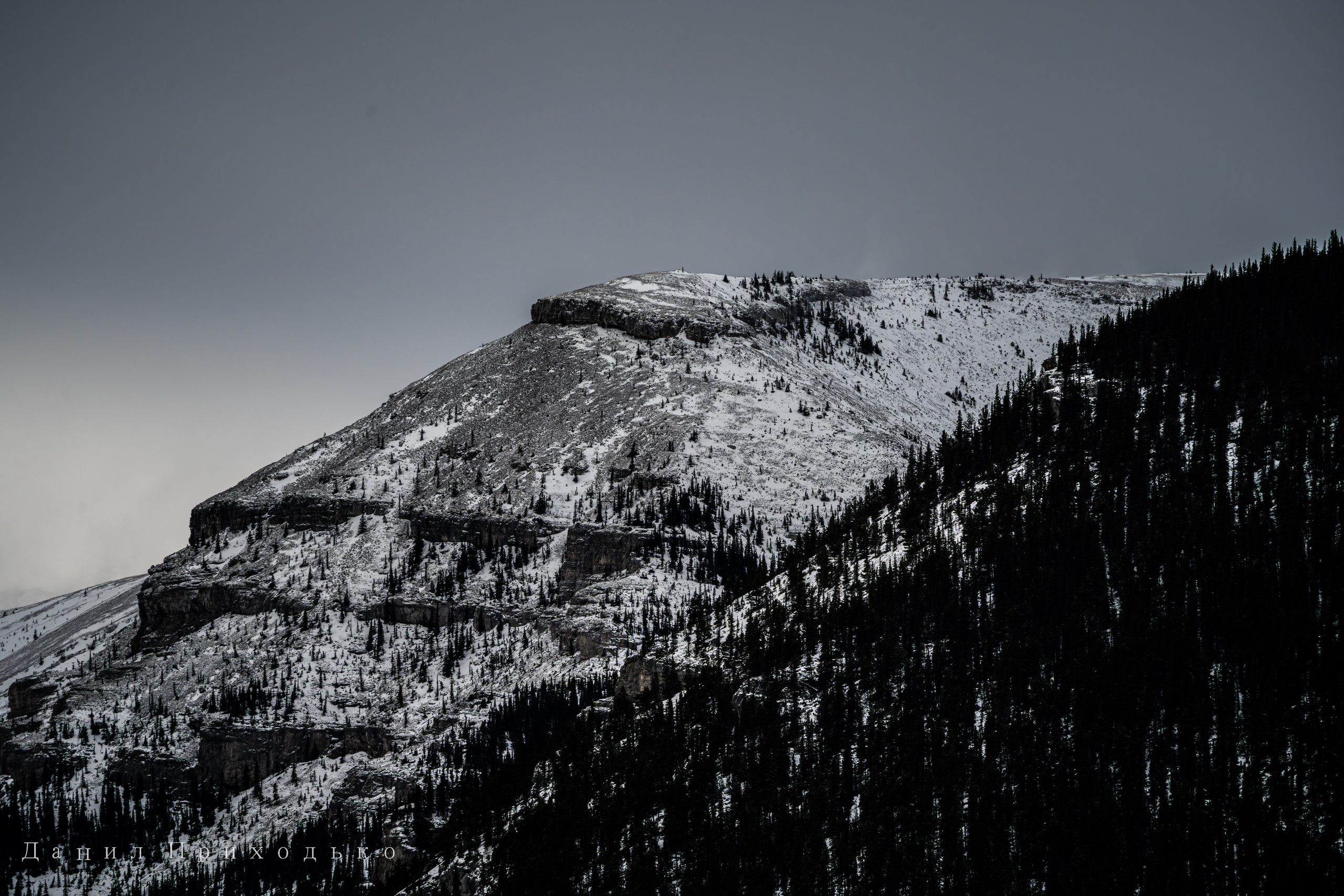 Danil Prikhodko Photography