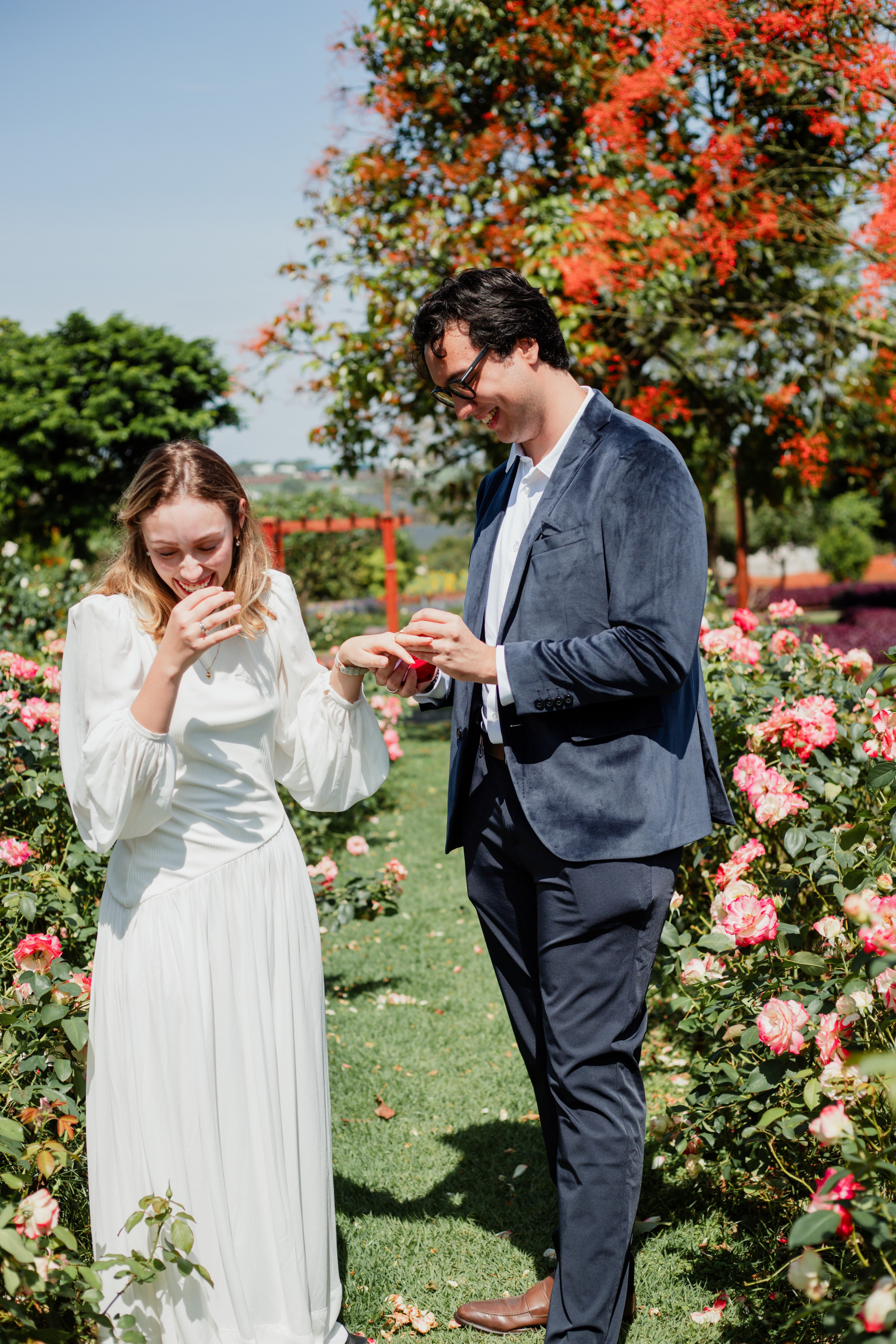 Pedido de Casamento /Bloemen Park. Joyce Maria Fotografia | Fotógrafa em Holambra