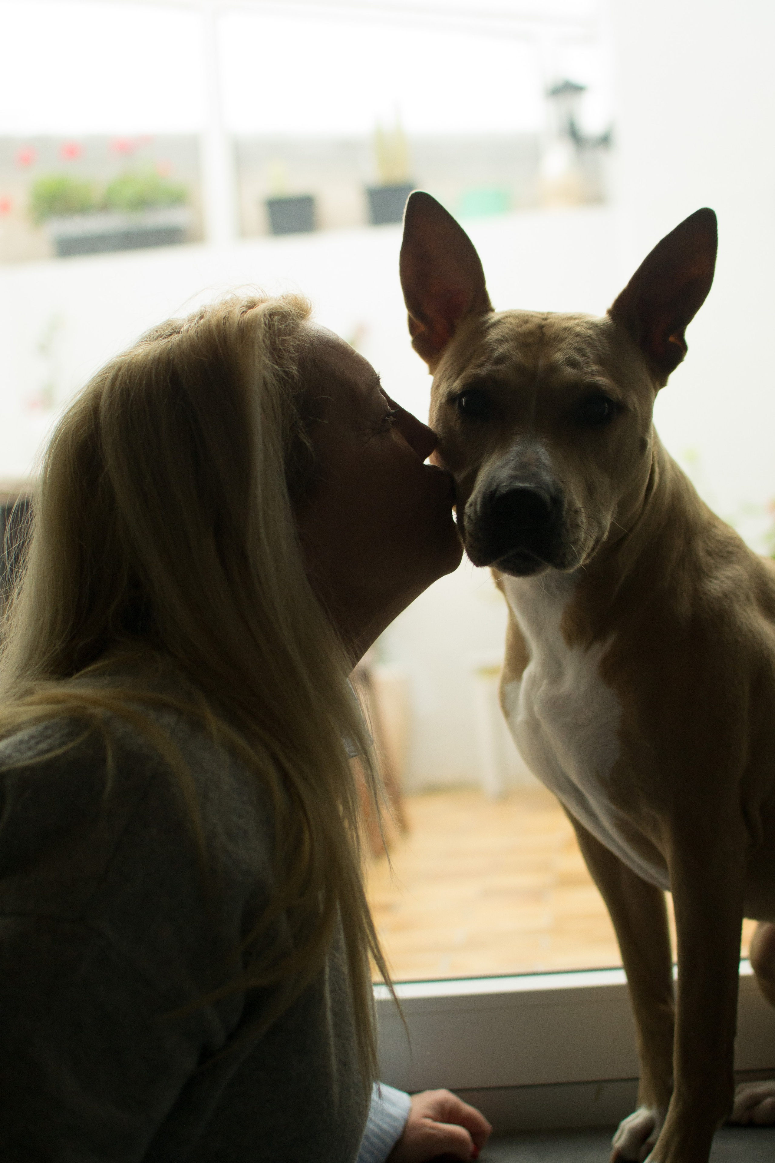 Elise et Leyka. Photographe animalier à Paris Anna Pereira