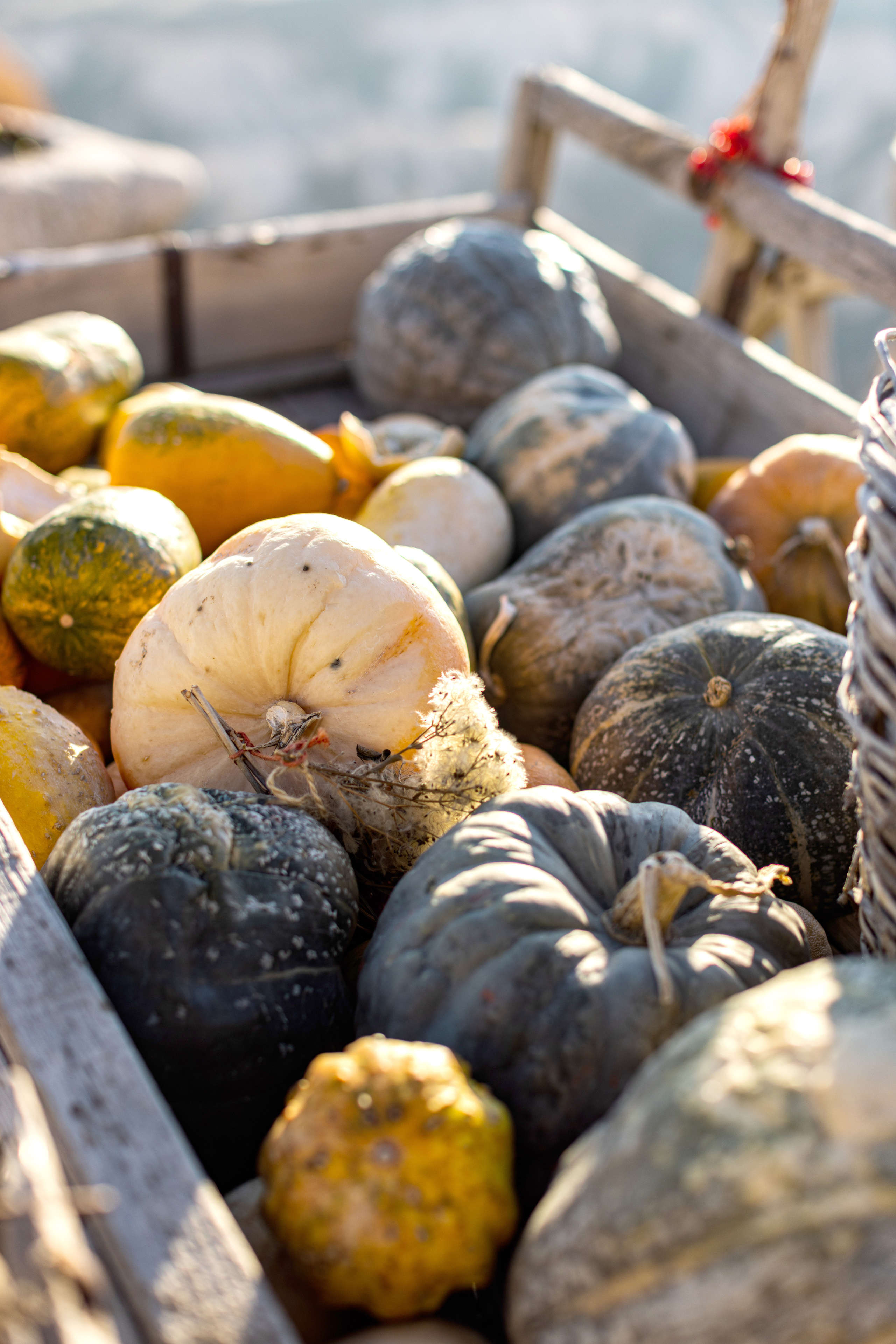 Kristina. Фотограф в Каппадокии / Julia Ganch