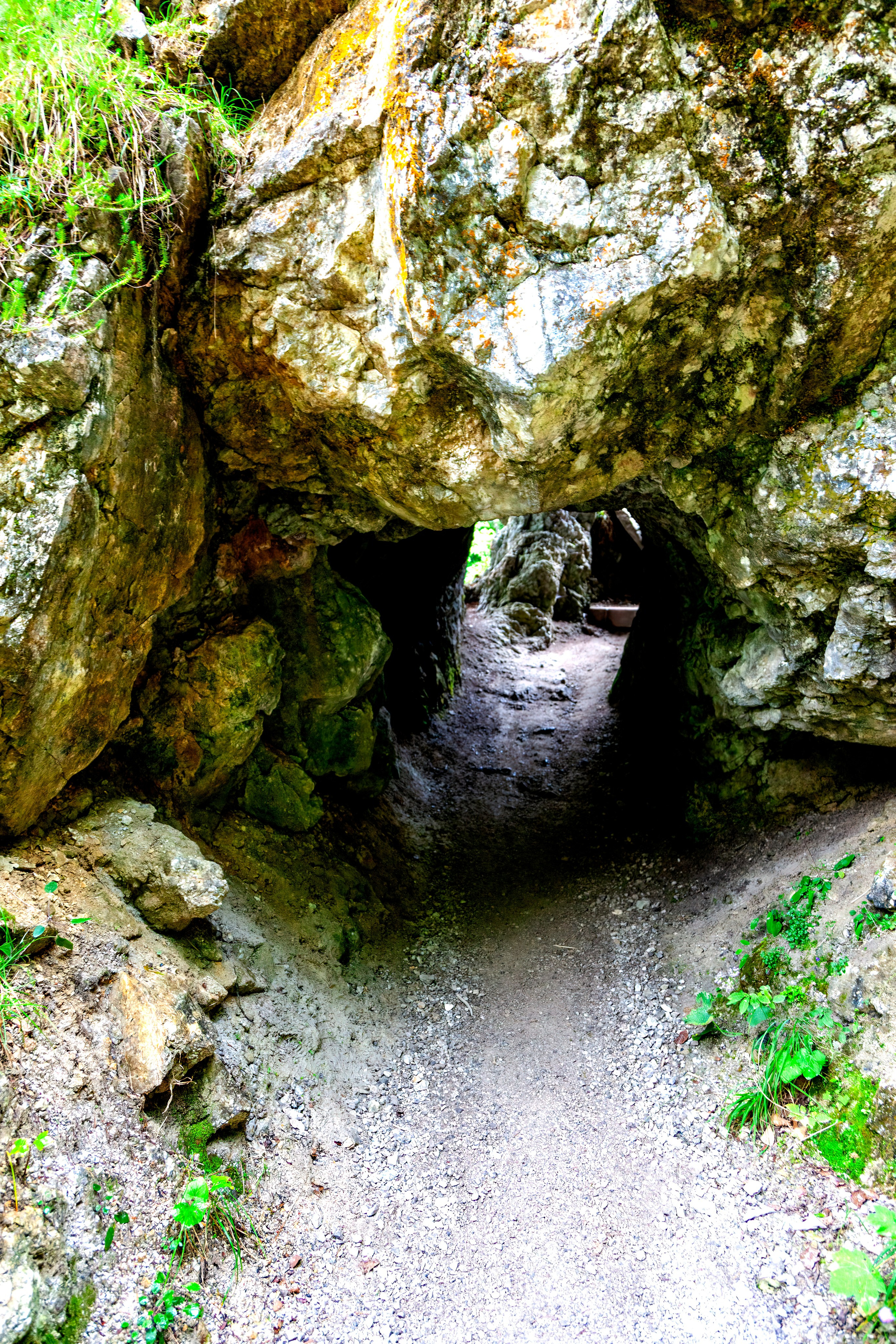 197.Ötscher Base Nature Park.Austria.21.8.2025. Путешествия в формате 360......