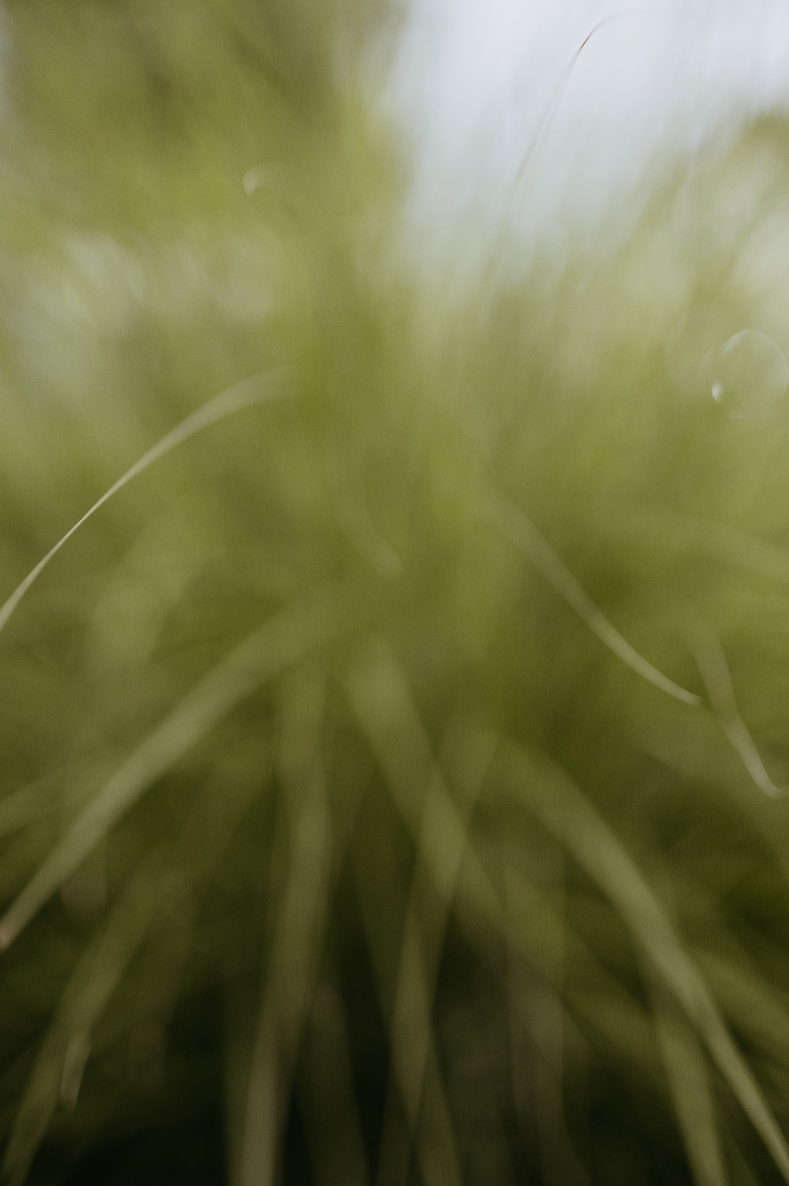 Cornel si Elisa. Valentin Melen - fotograf de nunta 🤍