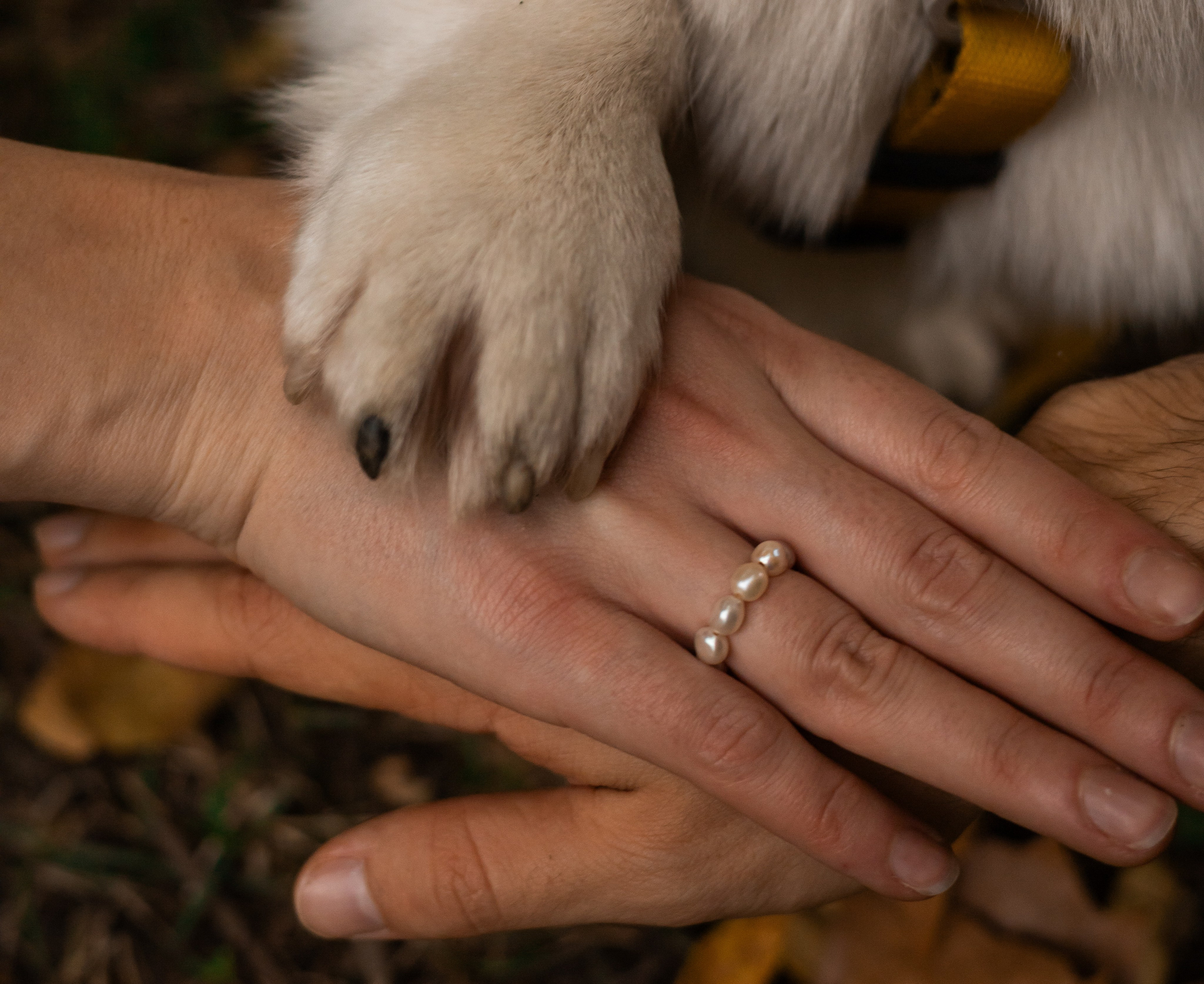 Даня, Аня и Плюша. Фотограф-анималист | Белград