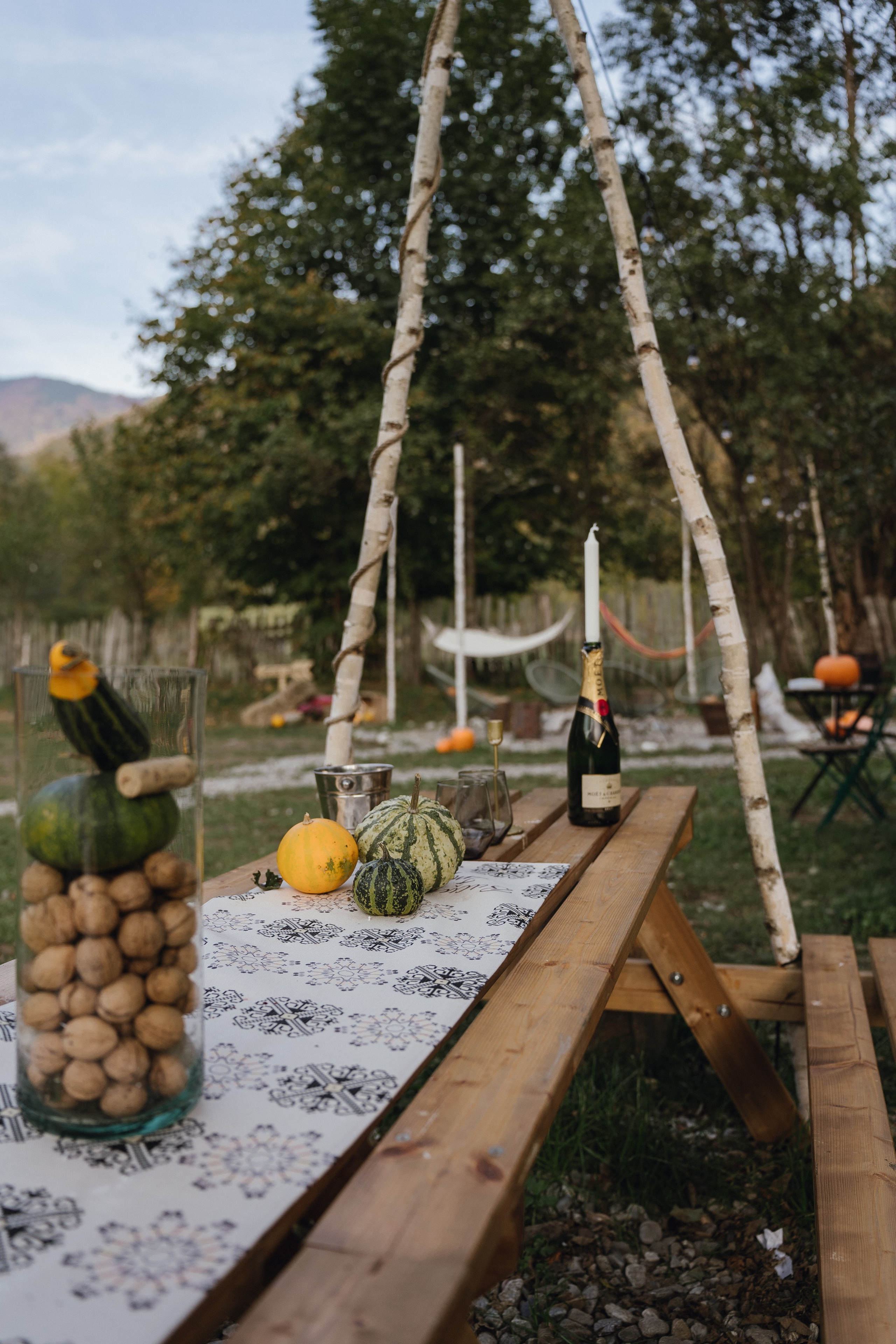 Airbnb. Patricia Morenci — Mountain Adventures for the Wild at Heart