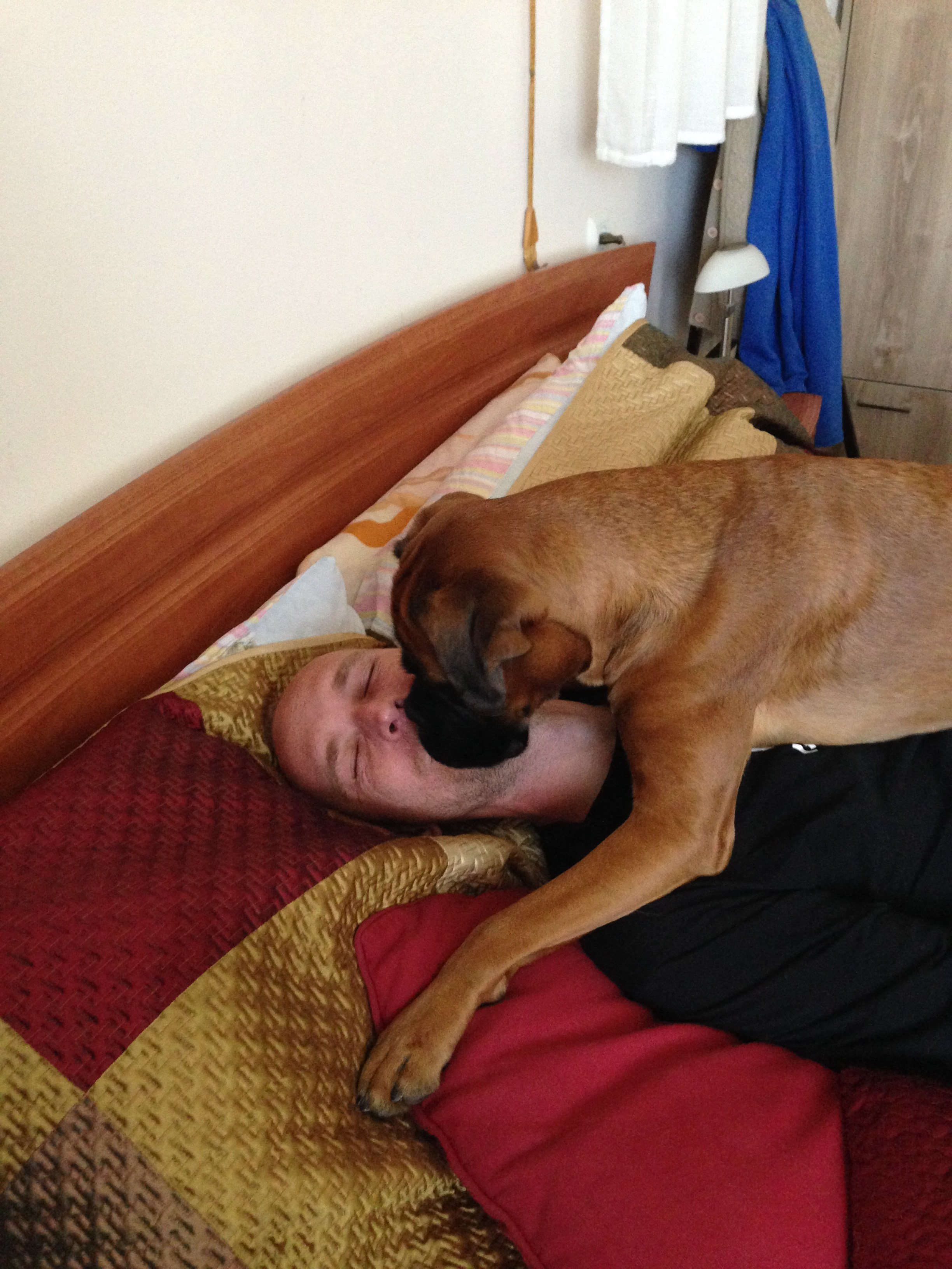 My ״Star״ Boxer Dog