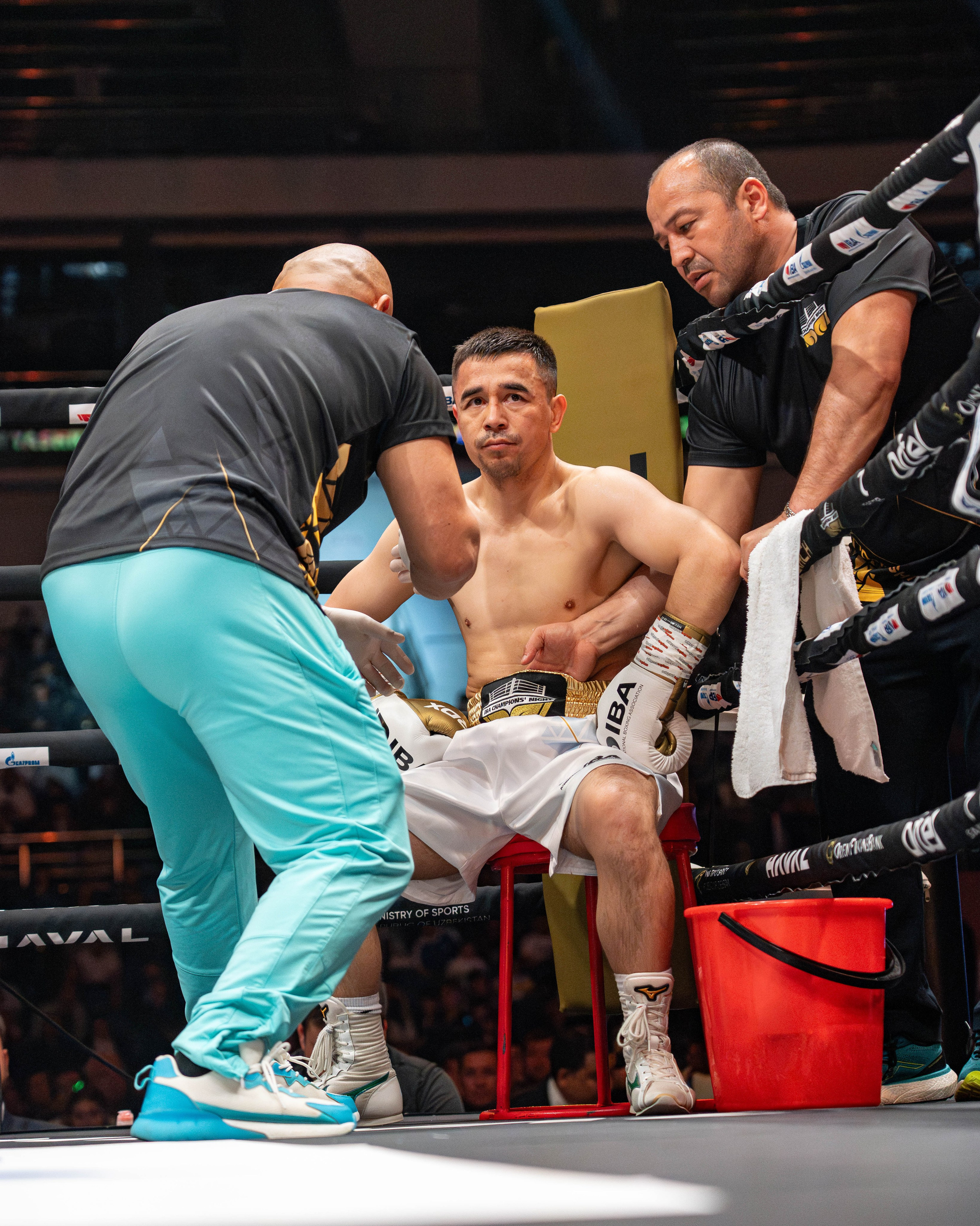 IBA Champions’ Night 2024 in Tashkent. Георгий Намазов | Фотограф в Ташкенте