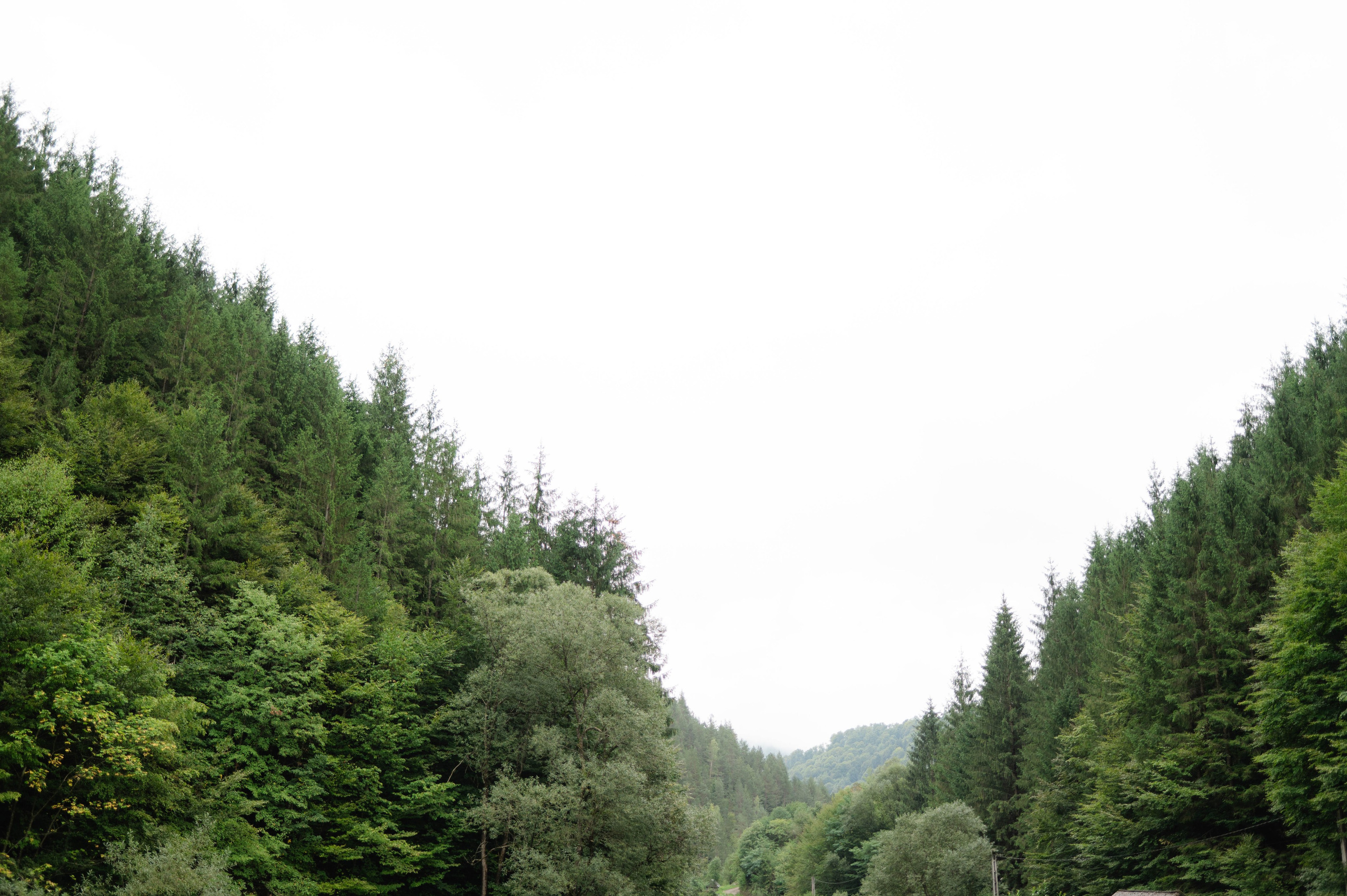 Bianca + Mihai. Alexandra Hanu Photographer