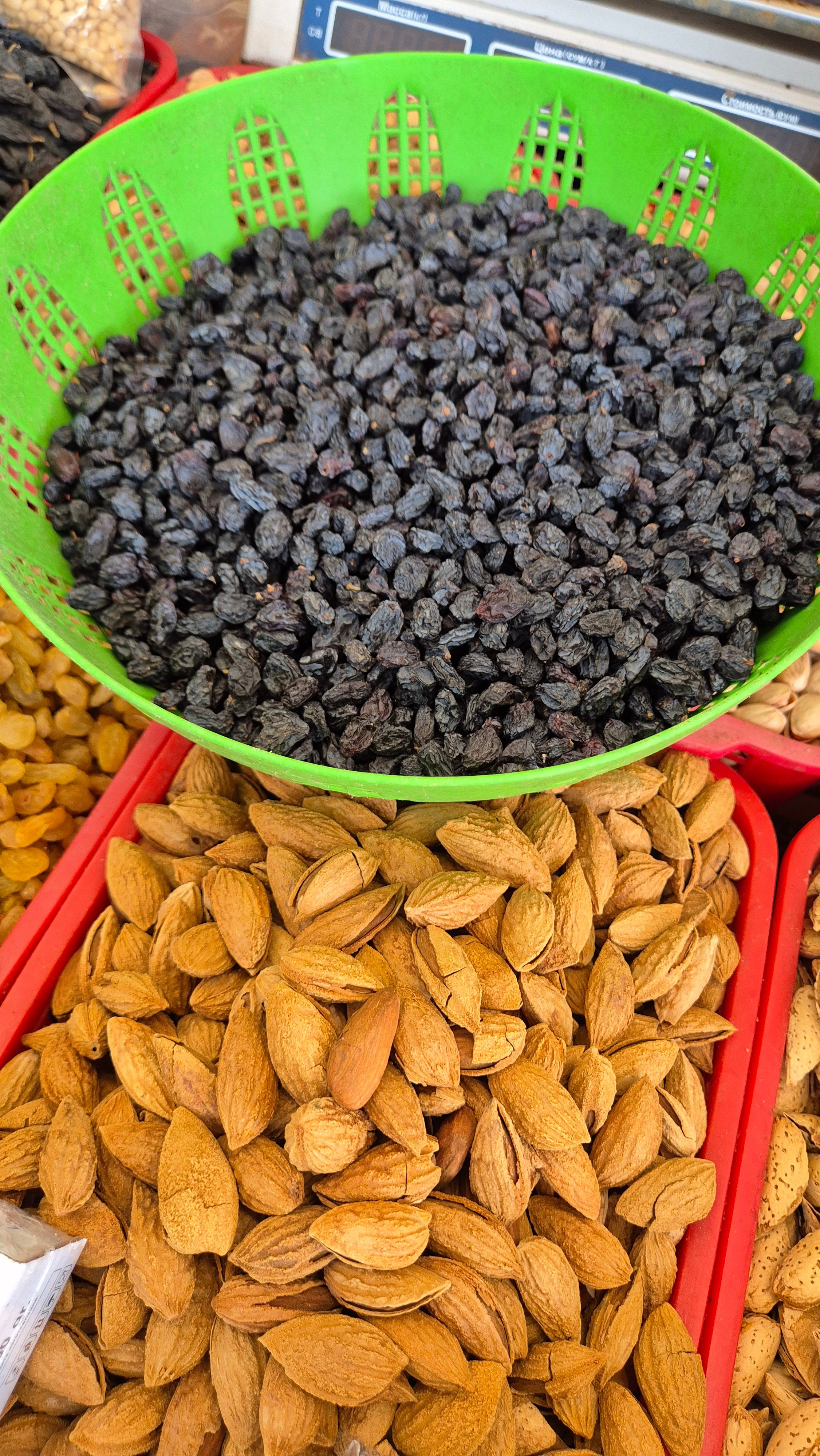 Uzbekistan 2024. Photographer Marina, city of Nuremberg