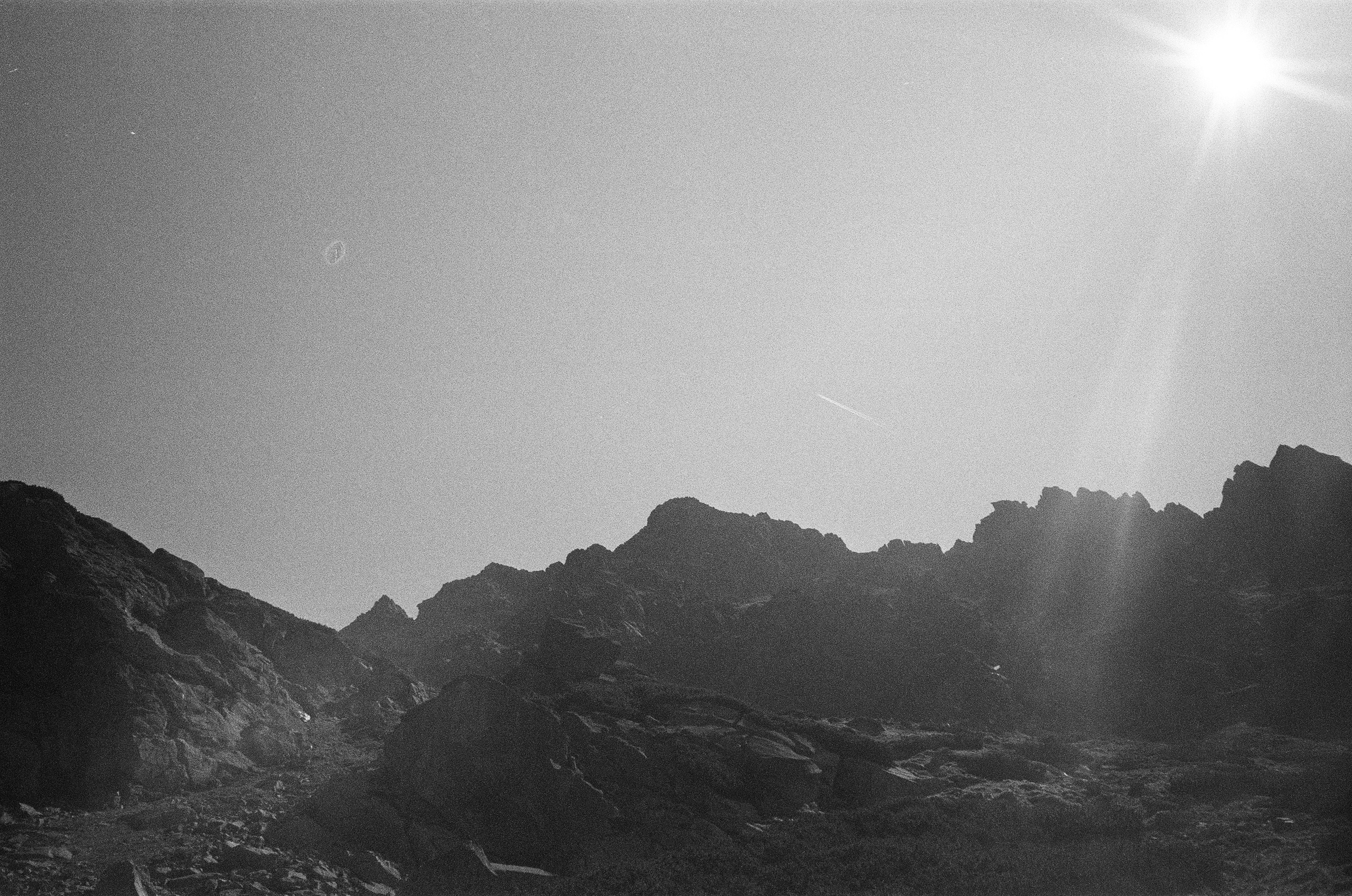 Film. NYC photographer | portraits, couples, graduation