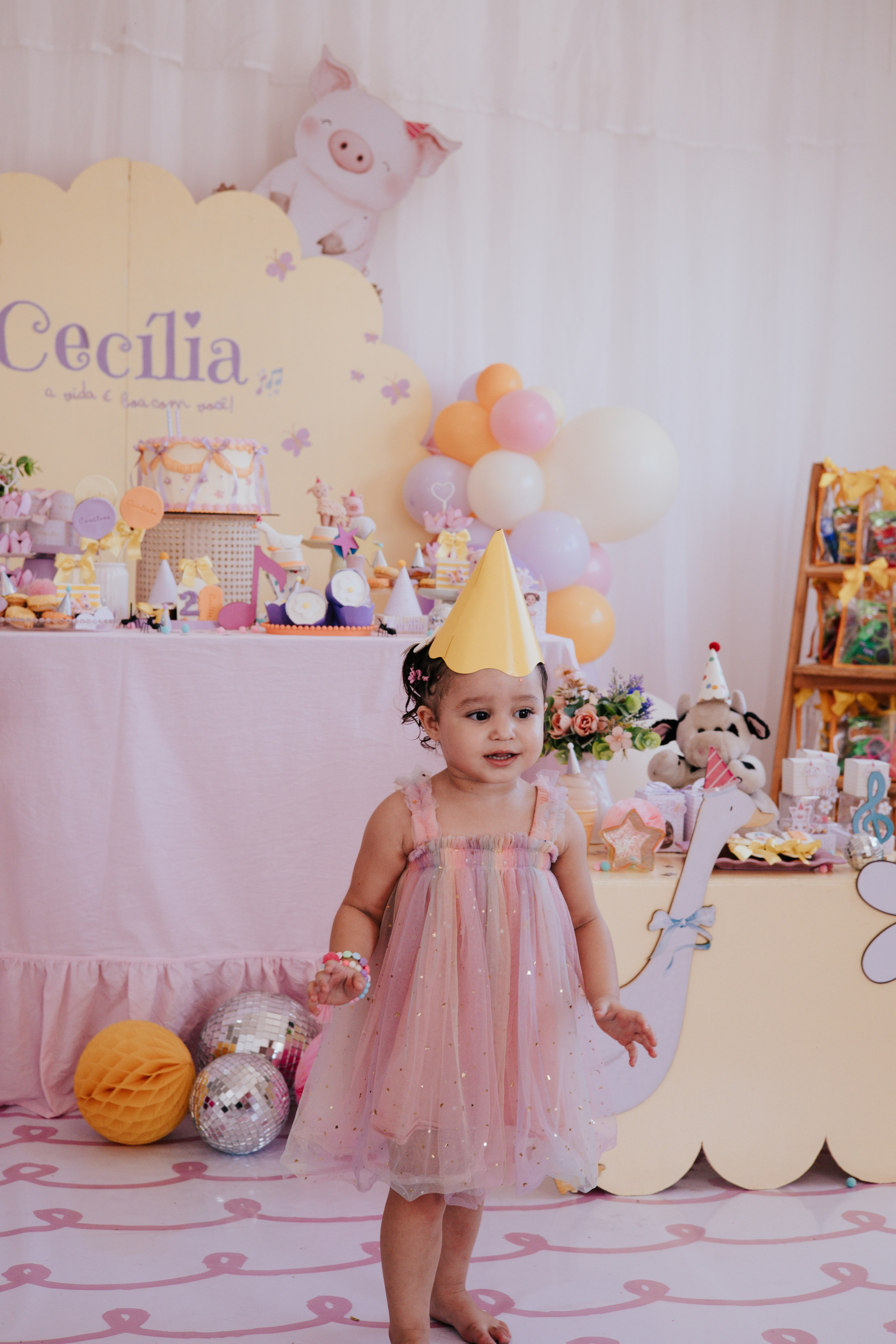 2 anos Cecília. Fotos e filme de partos & famílias
