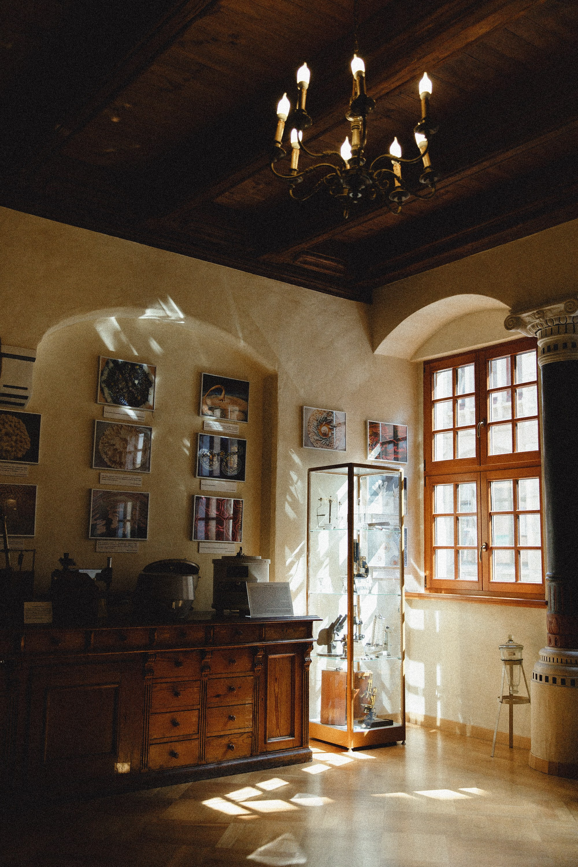 Museum of farmacy in Wroclaw. Kaja | fotograf we Wrocławiu | ludzie i psy