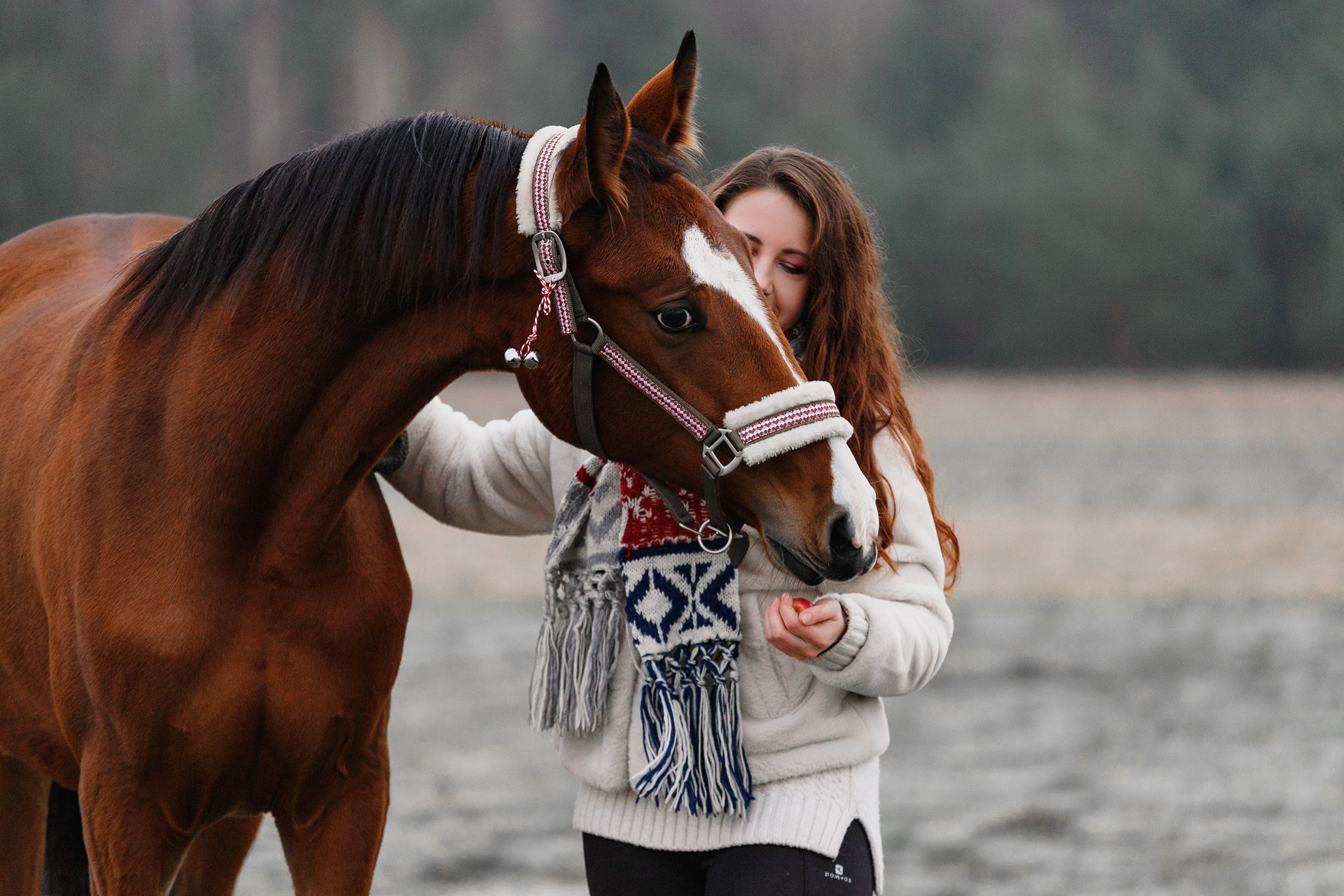 Aibike | winter. Kaja | fotograf psów we Wrocławiu